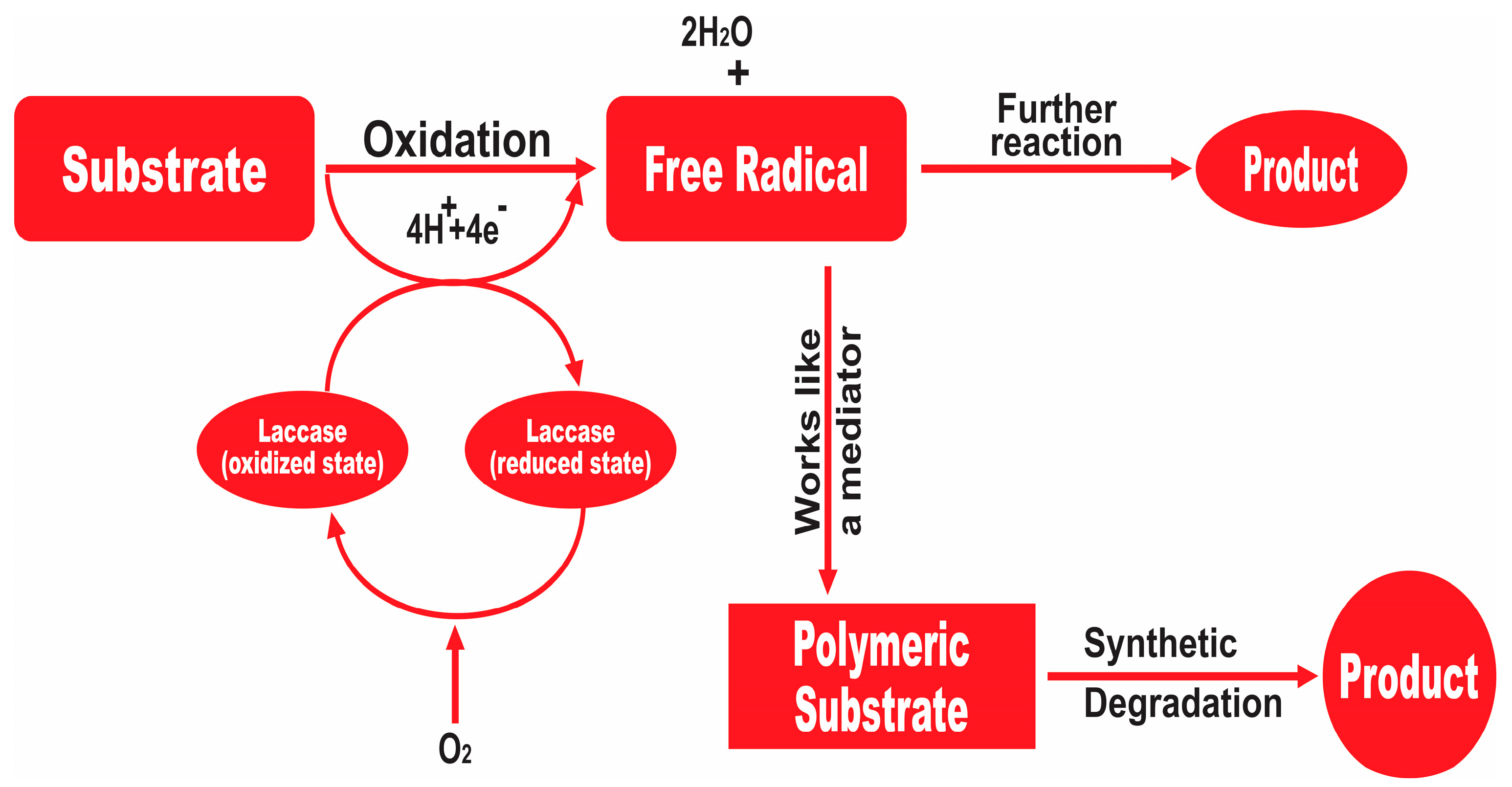 Water 14 04068 g004 Water 14 04068 g004