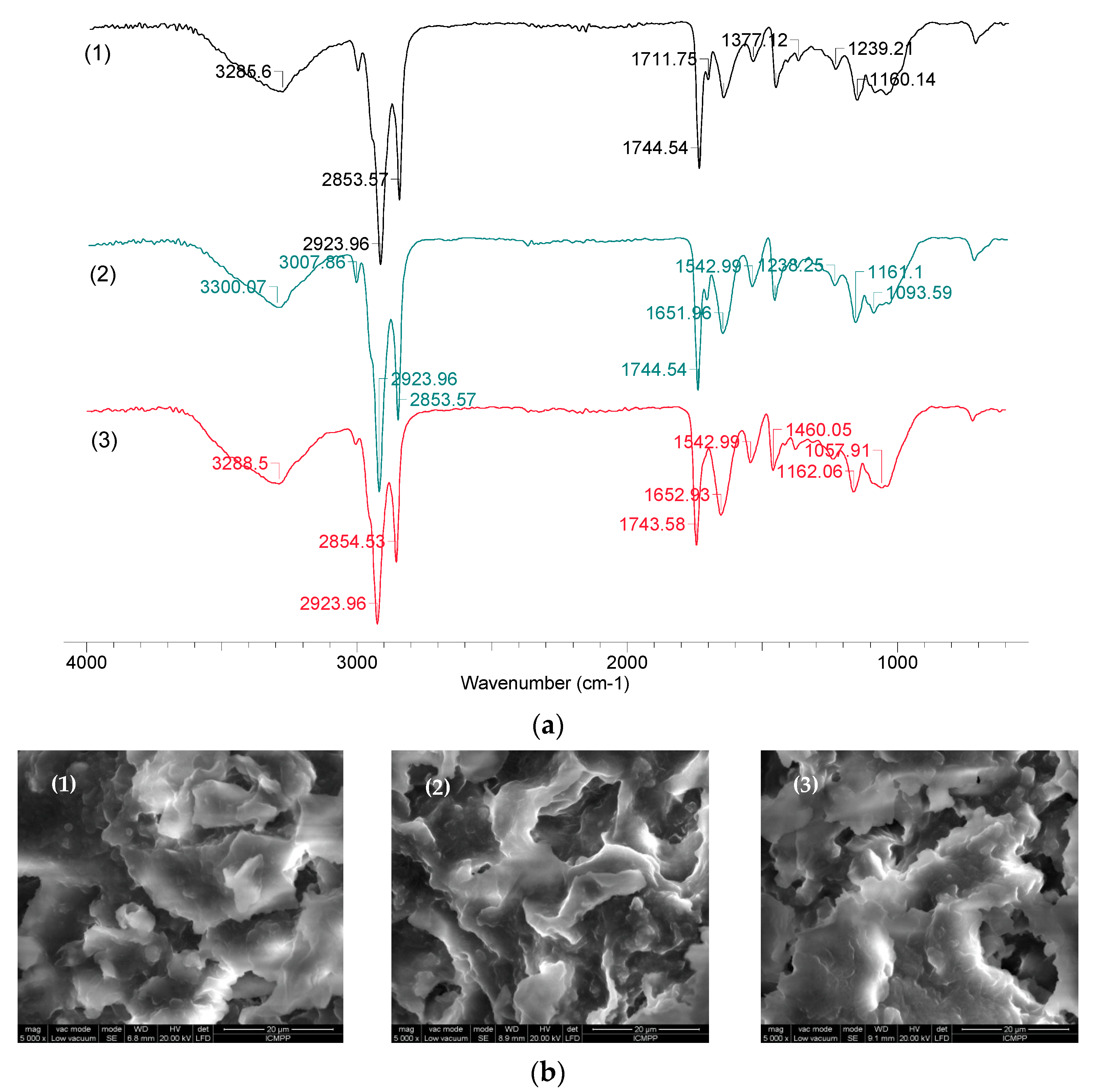 Water 14 04108 g002 Water 14 04108 g002