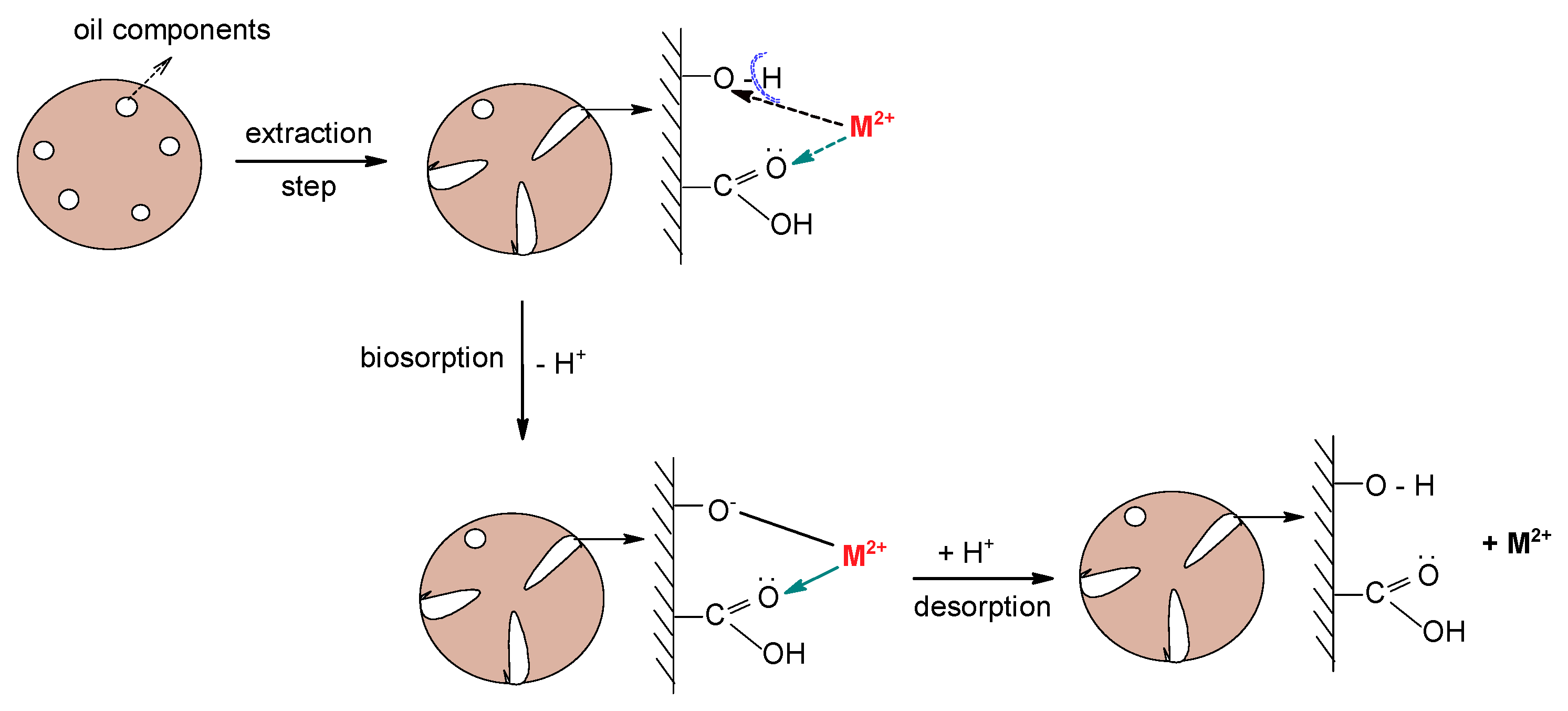 Water 14 04108 g007 Water 14 04108 g007