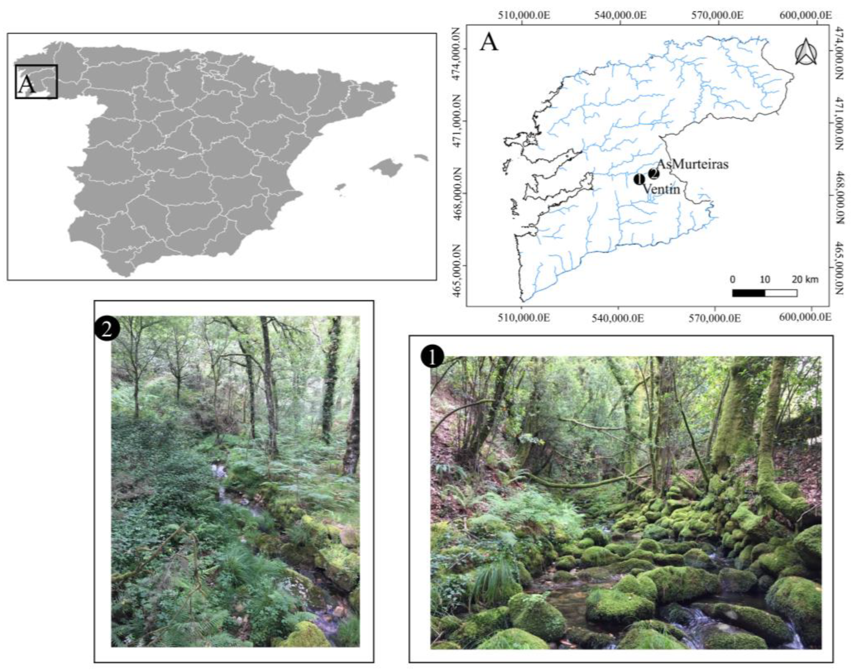 Water 15 00115 g001 Water 15 00115 g001