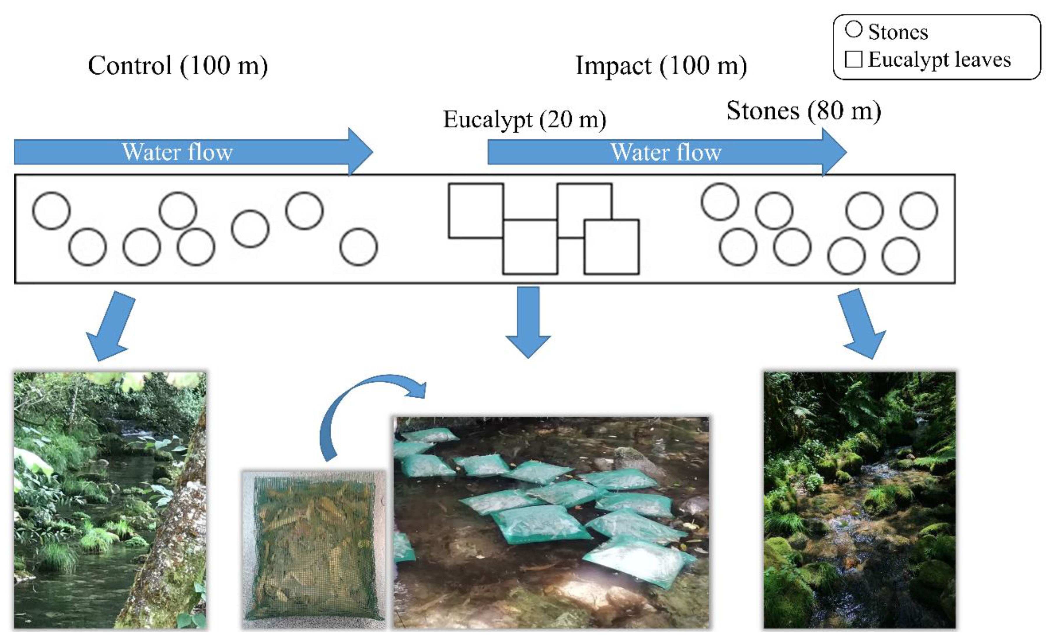 Water 15 00115 g002 Water 15 00115 g002