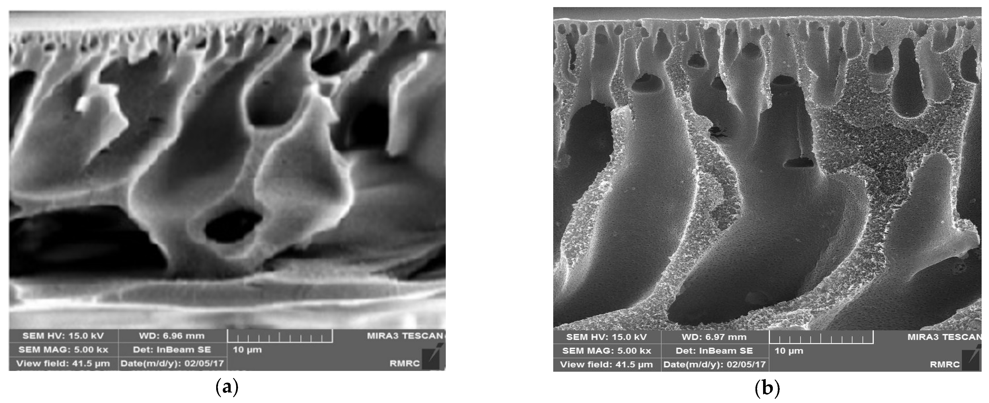 Water 15 00145 g009a Water 15 00145 g009a