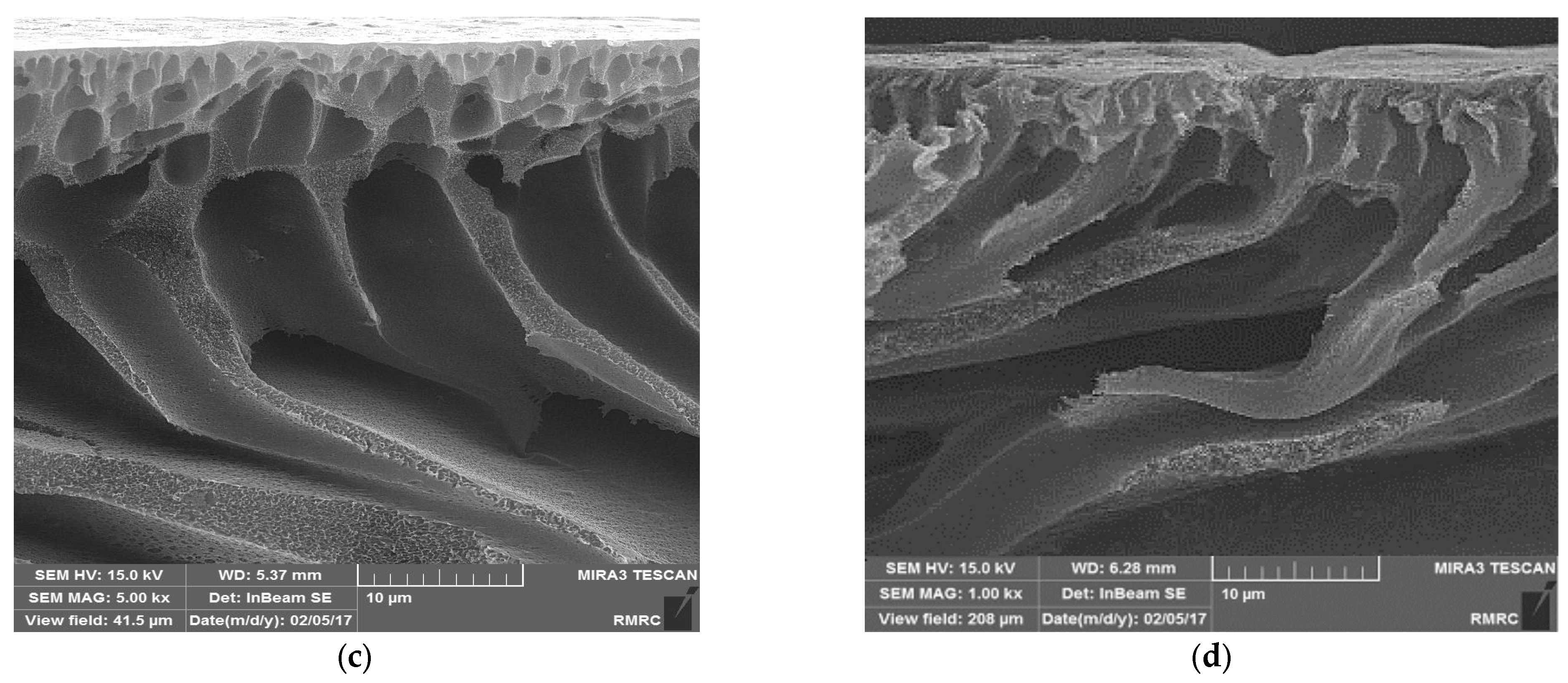 Water 15 00145 g009b Water 15 00145 g009b