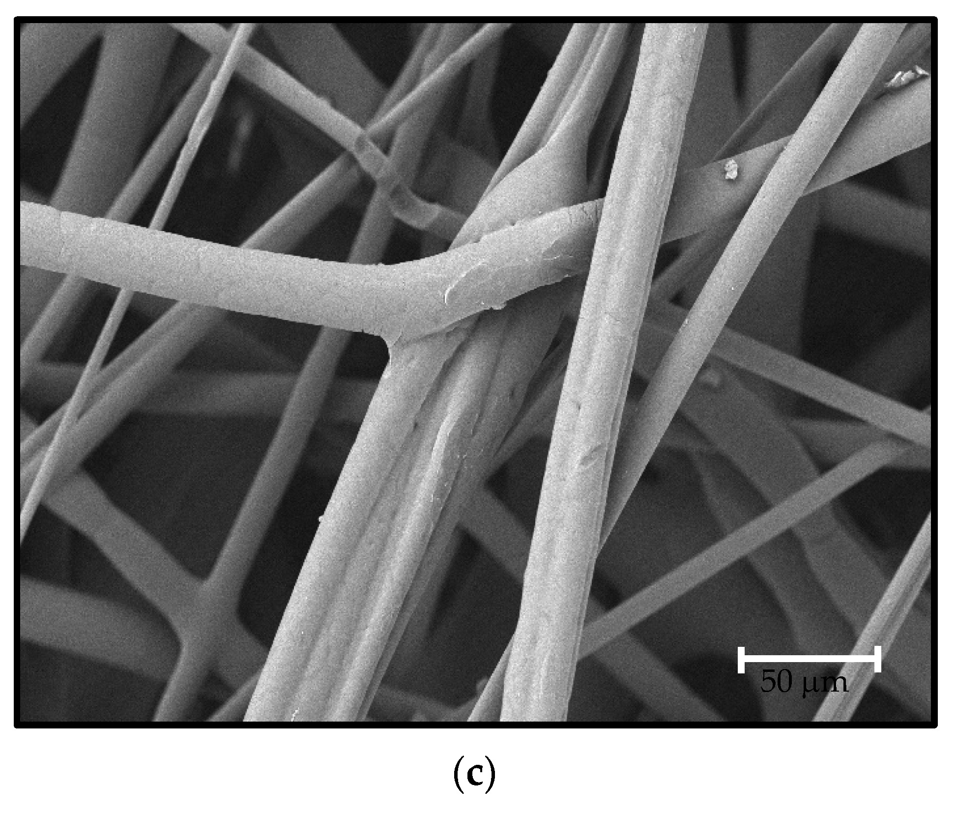 Water 15 00242 g002b