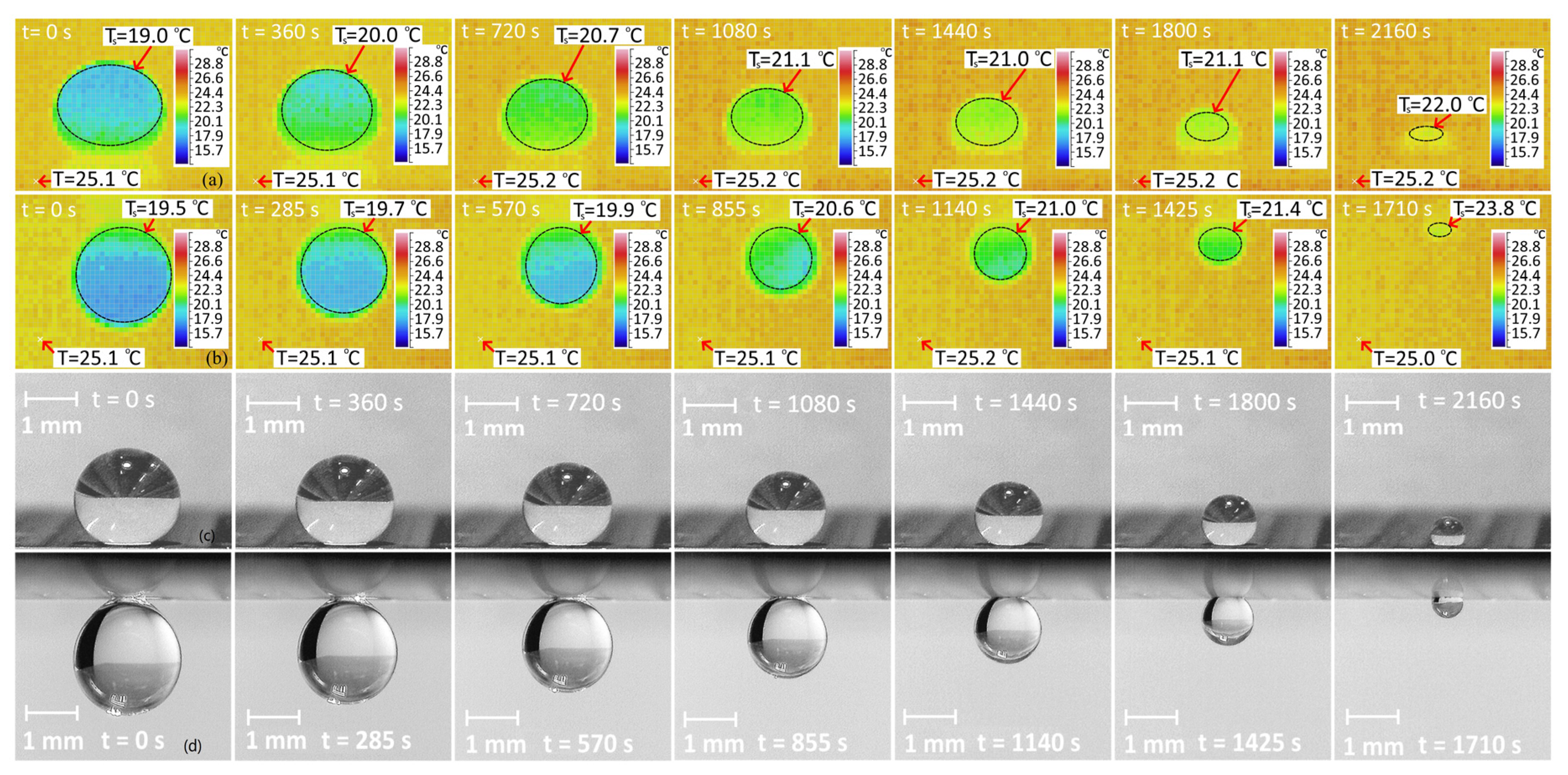 Water 15 00273 g003 Water 15 00273 g003