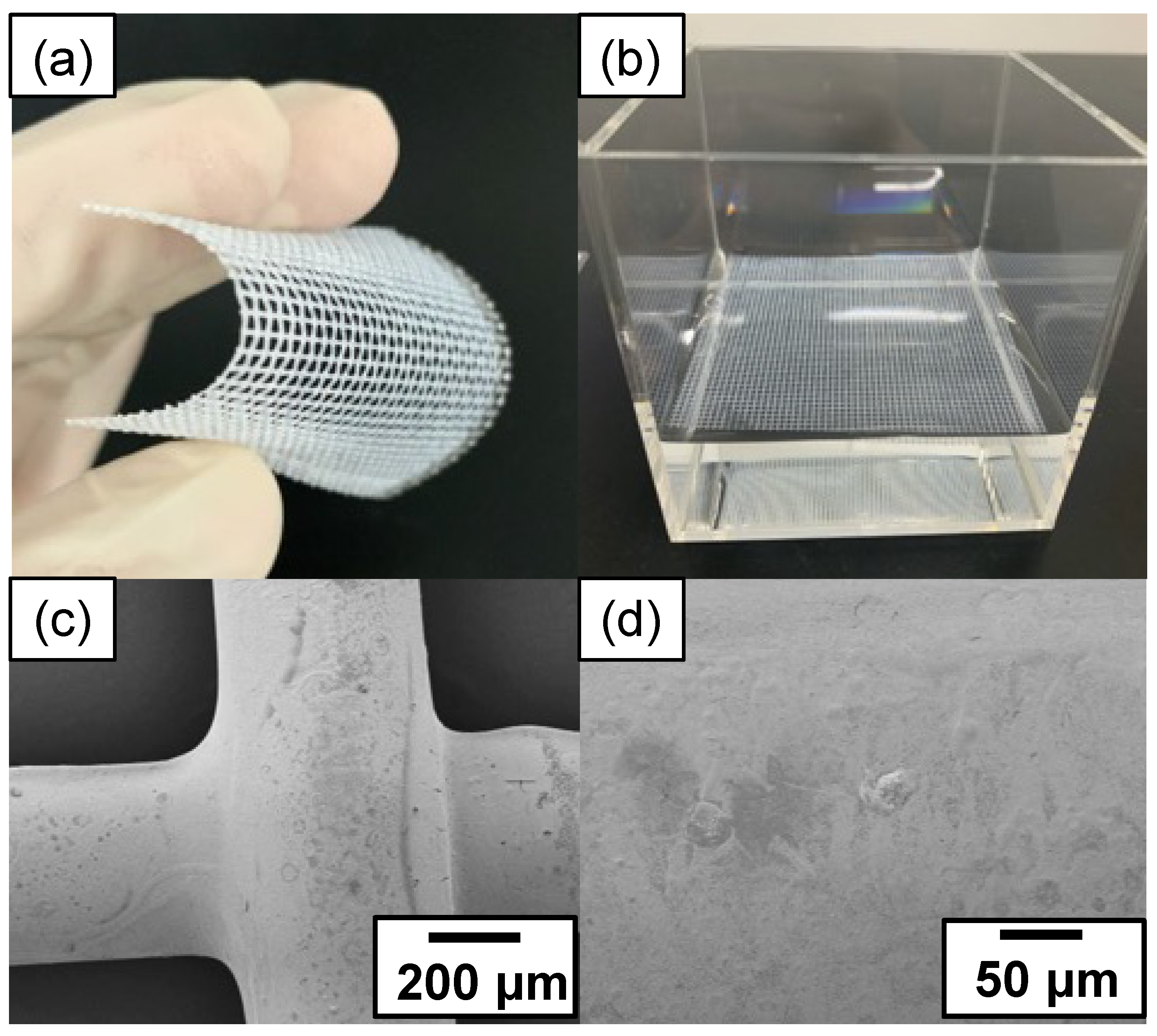 Water 15 00320 g002 Water 15 00320 g002