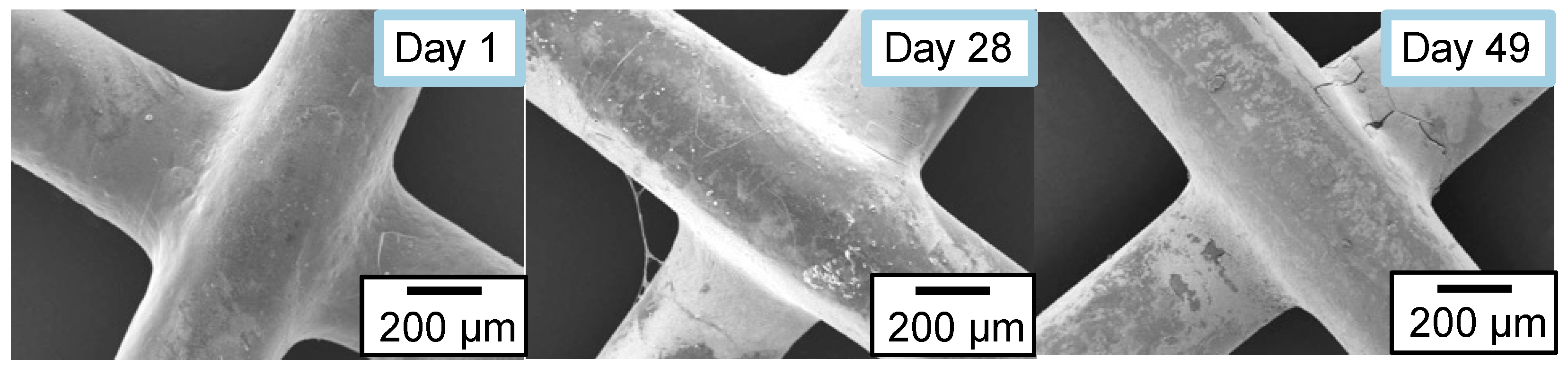 Water 15 00320 g007 Water 15 00320 g007