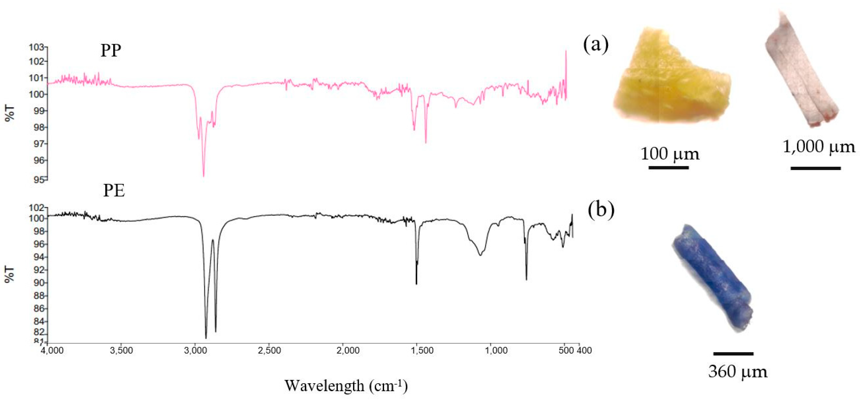 Water 15 00330 g005 Water 15 00330 g005