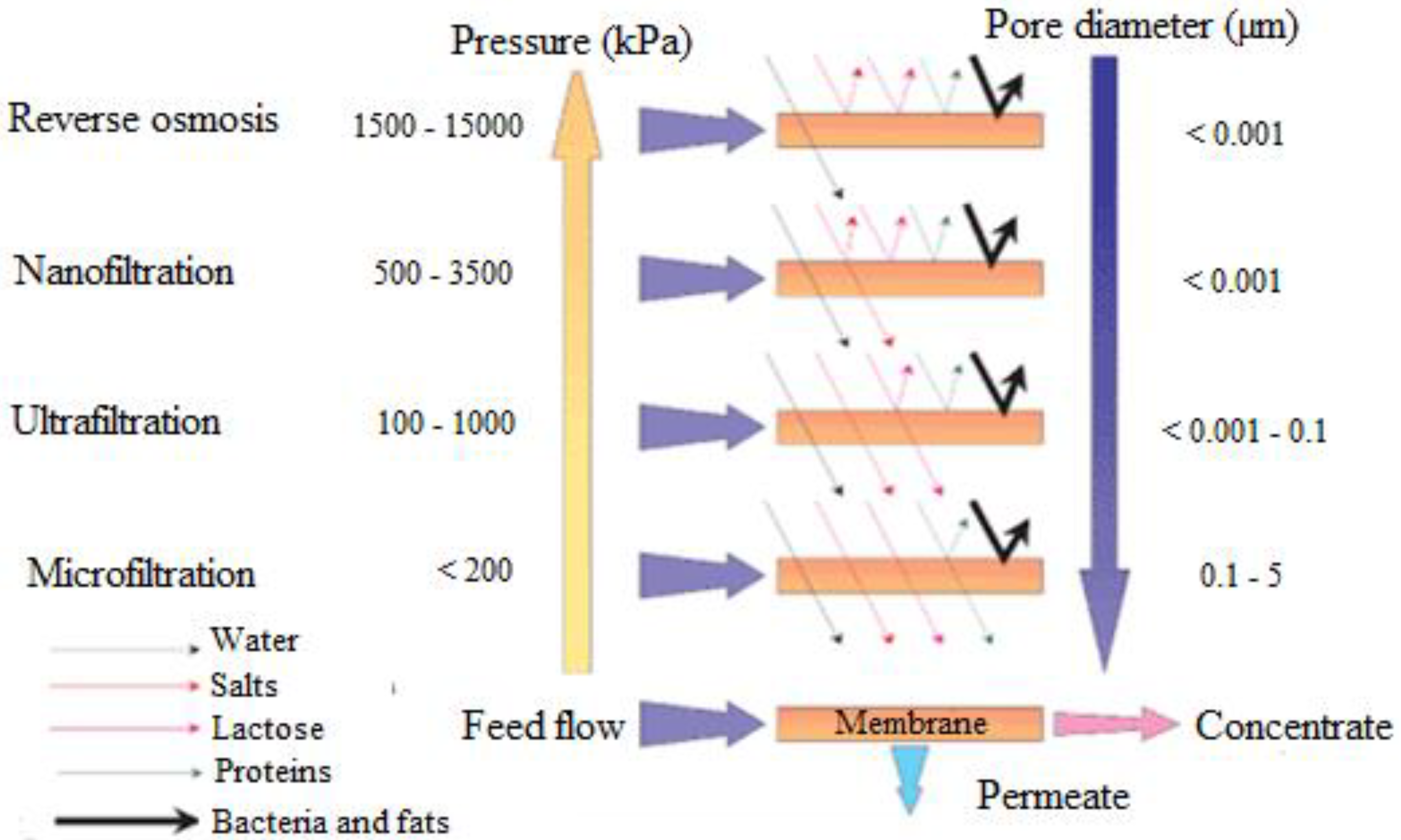 Water 15 00400 g001 Water 15 00400 g001
