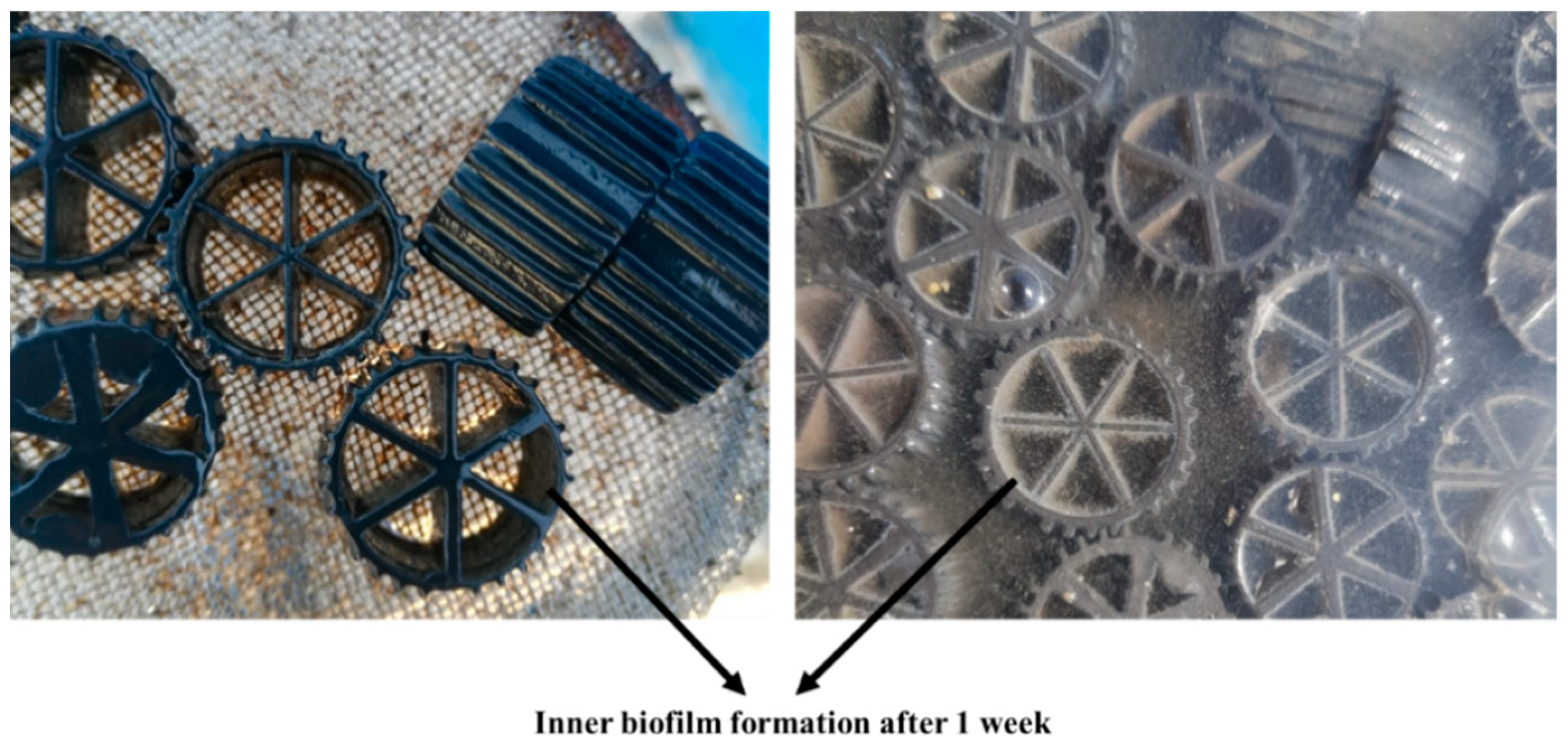 Water 15 00408 g006 Water 15 00408 g006