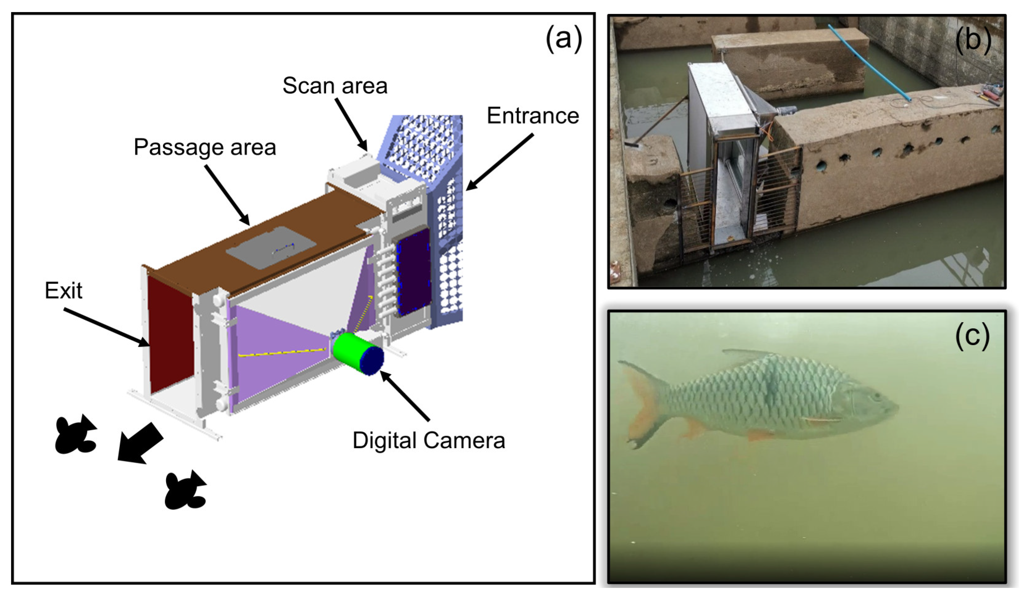 Water 15 00421 g003 Water 15 00421 g003