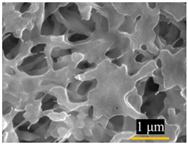 Water 15 00439 i001 Water 15 00439 i001