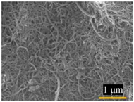 Water 15 00439 i002 Water 15 00439 i002