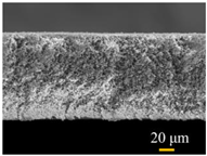 Water 15 00439 i003 Water 15 00439 i003