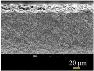 Water 15 00439 i004 Water 15 00439 i004