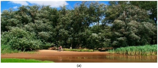 Water 15 00440 g007a