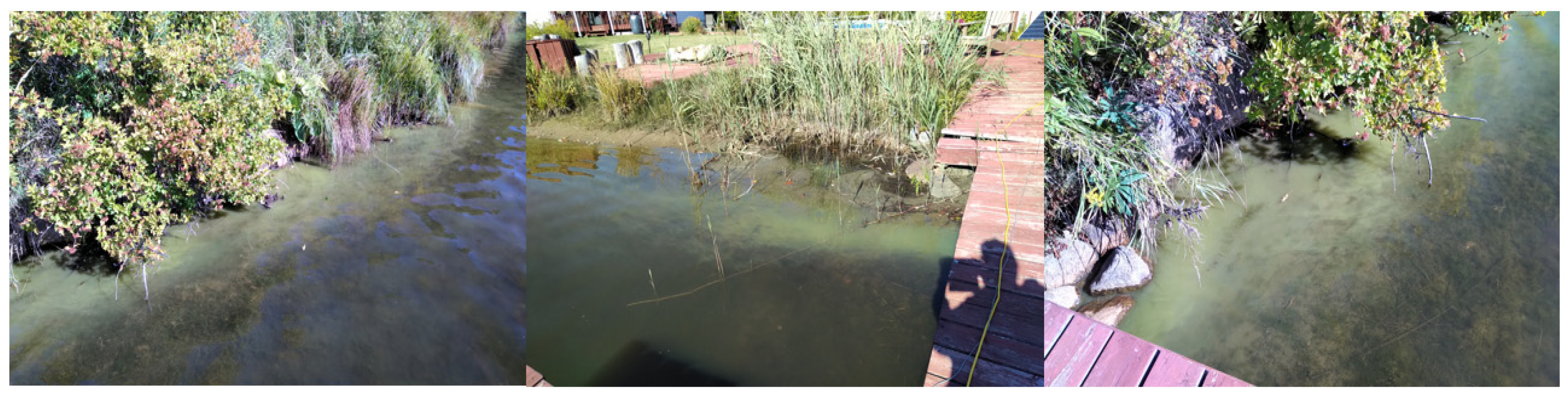 Water 15 00441 g009 Water 15 00441 g009