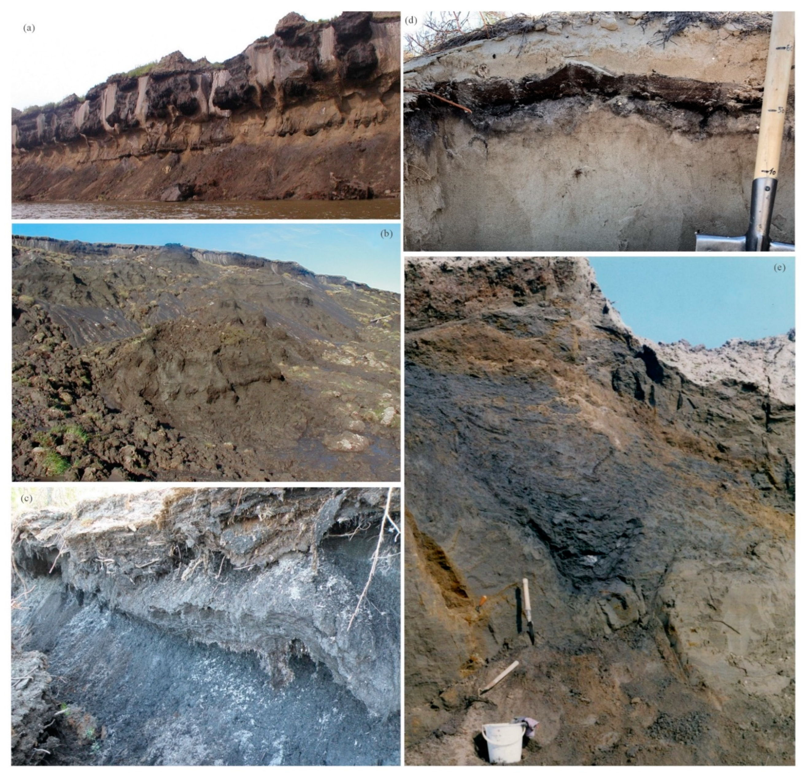 Water 15 00494 g001 Water 15 00494 g001