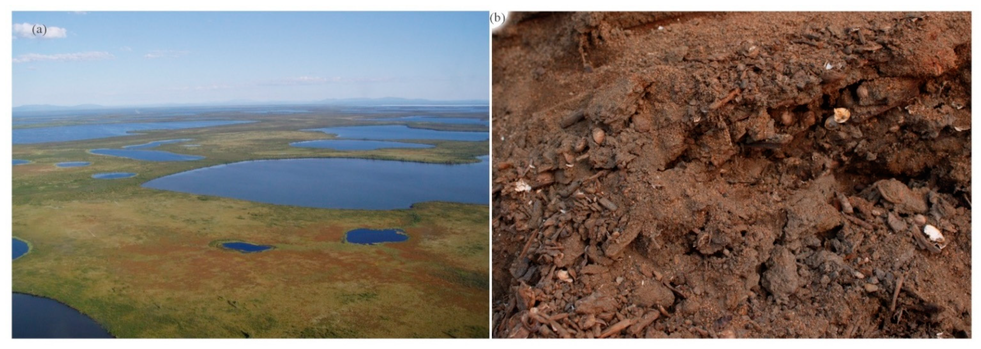 Water 15 00494 g003 Water 15 00494 g003