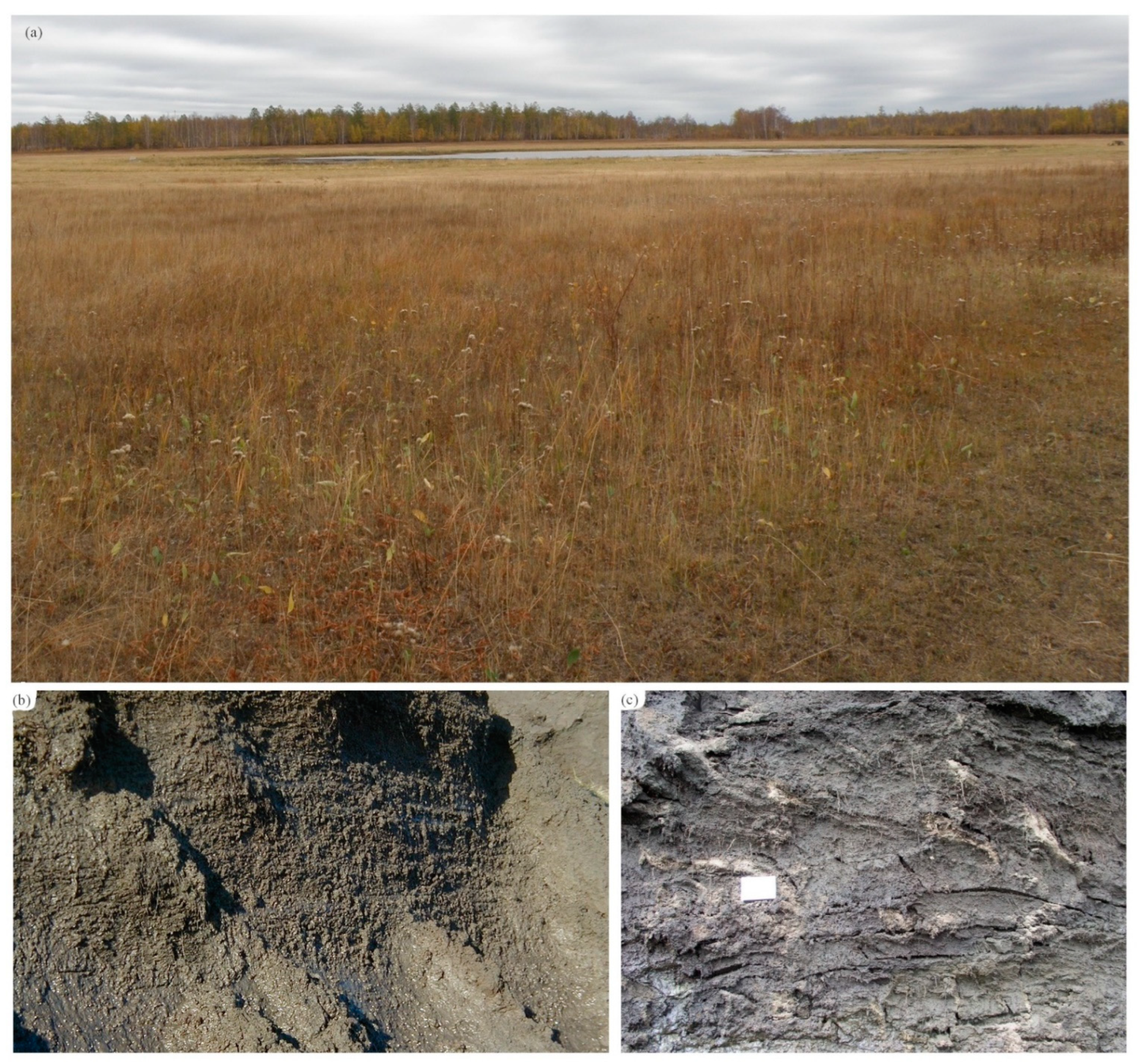 Water 15 00494 g004 Water 15 00494 g004