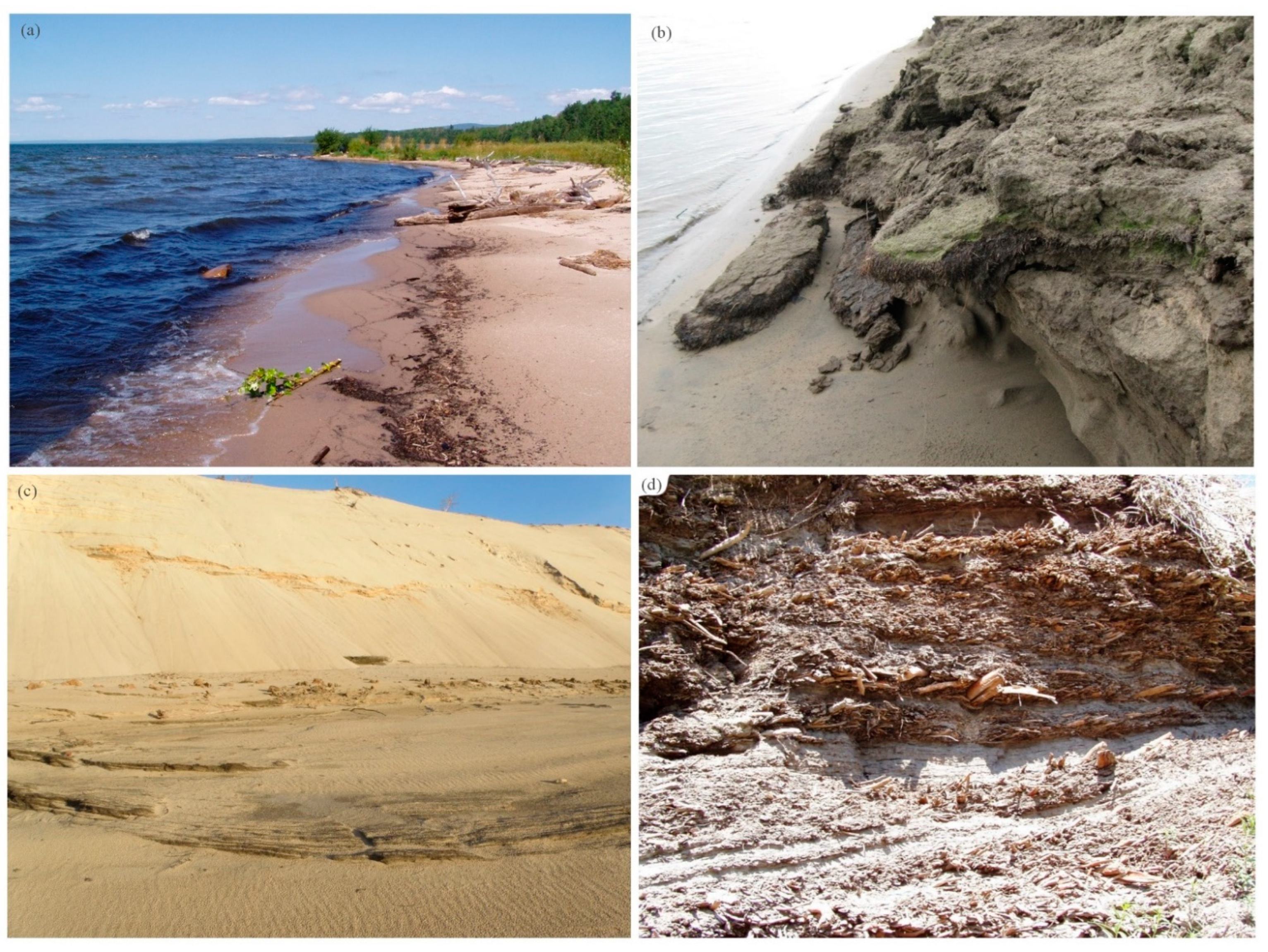 Water 15 00494 g005 Water 15 00494 g005