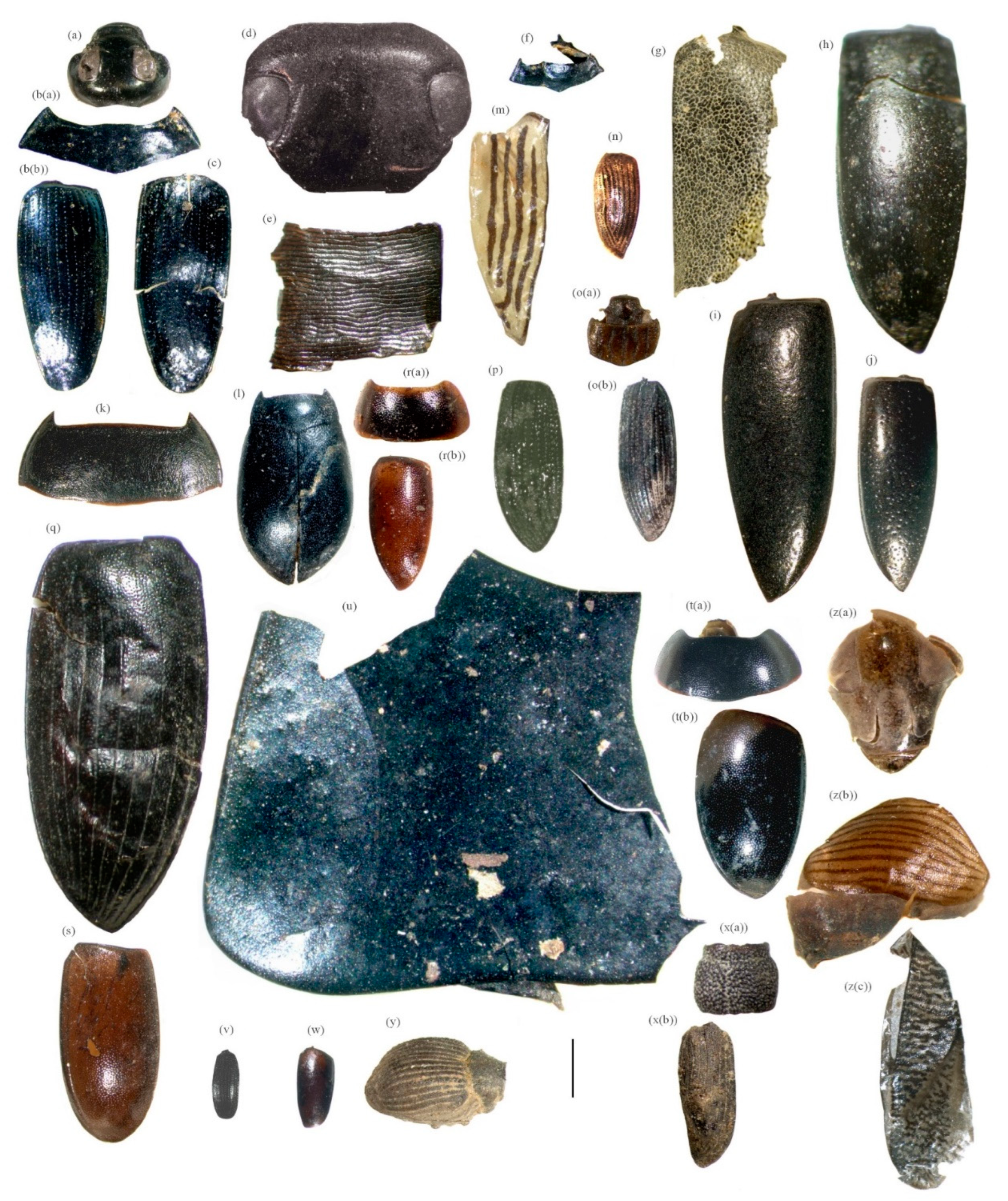 Water 15 00494 g010 Water 15 00494 g010