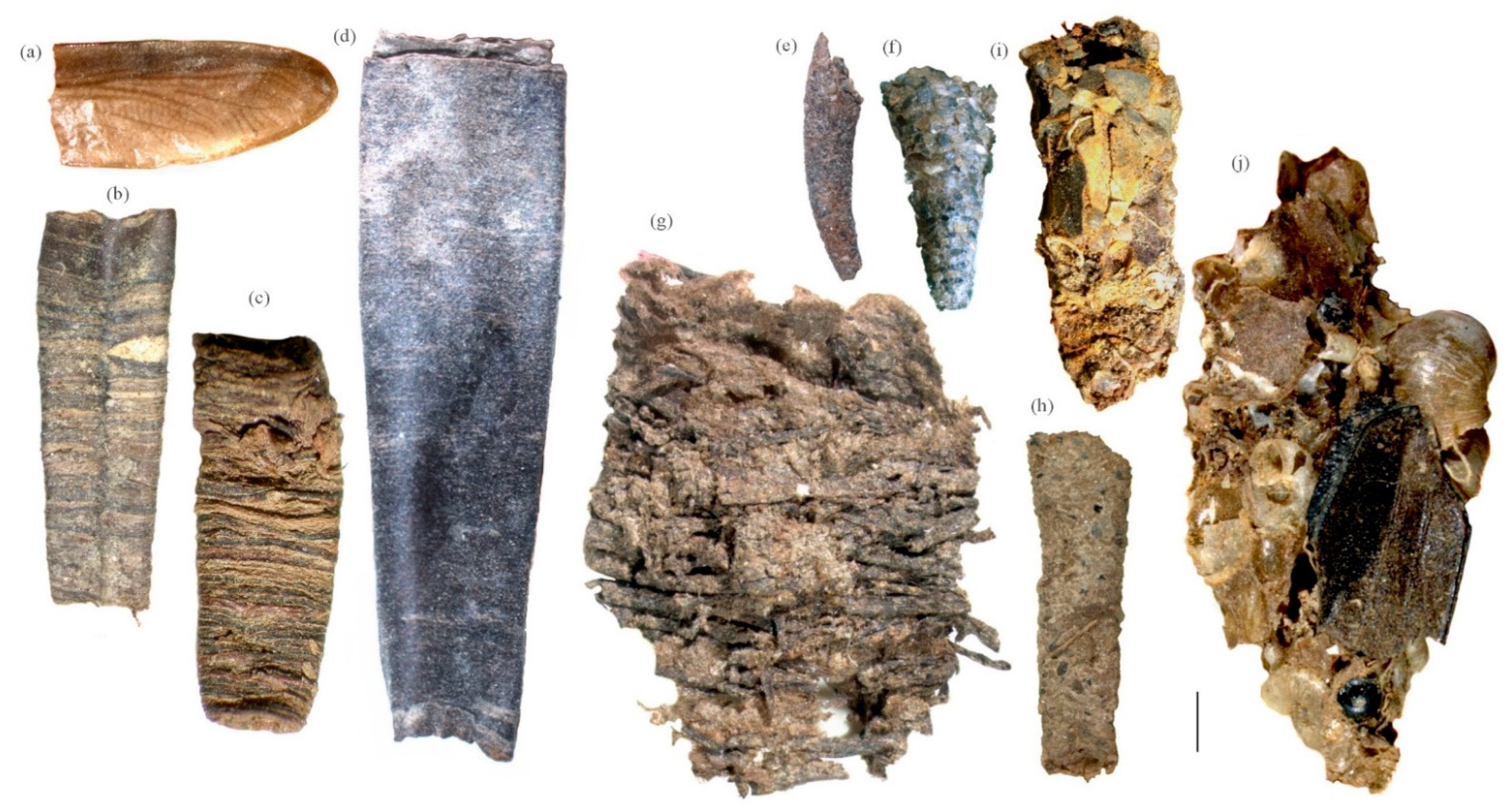 Water 15 00494 g011 Water 15 00494 g011