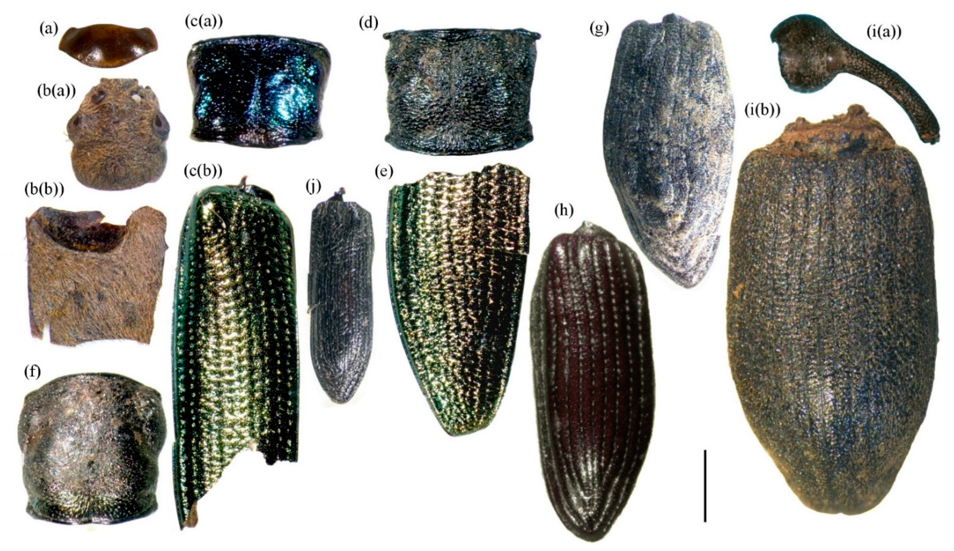 Water 15 00494 g012 Water 15 00494 g012