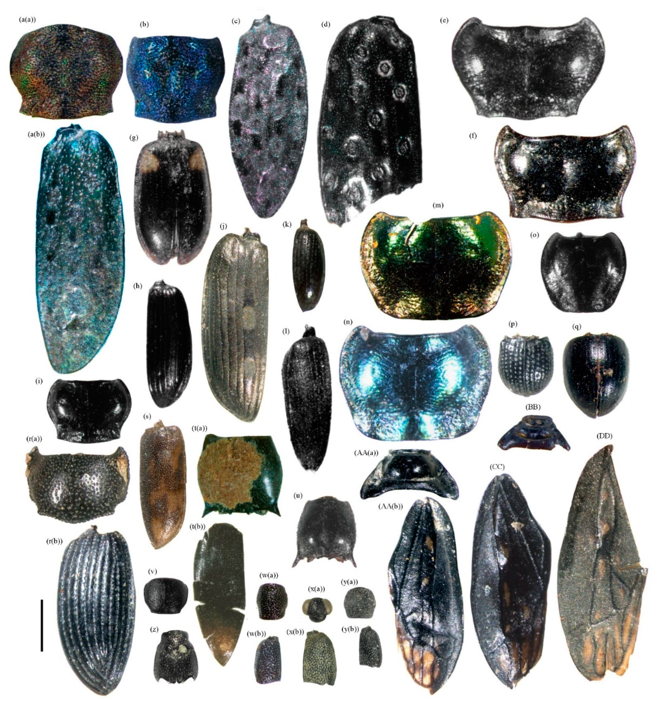 Water 15 00494 g013 Water 15 00494 g013