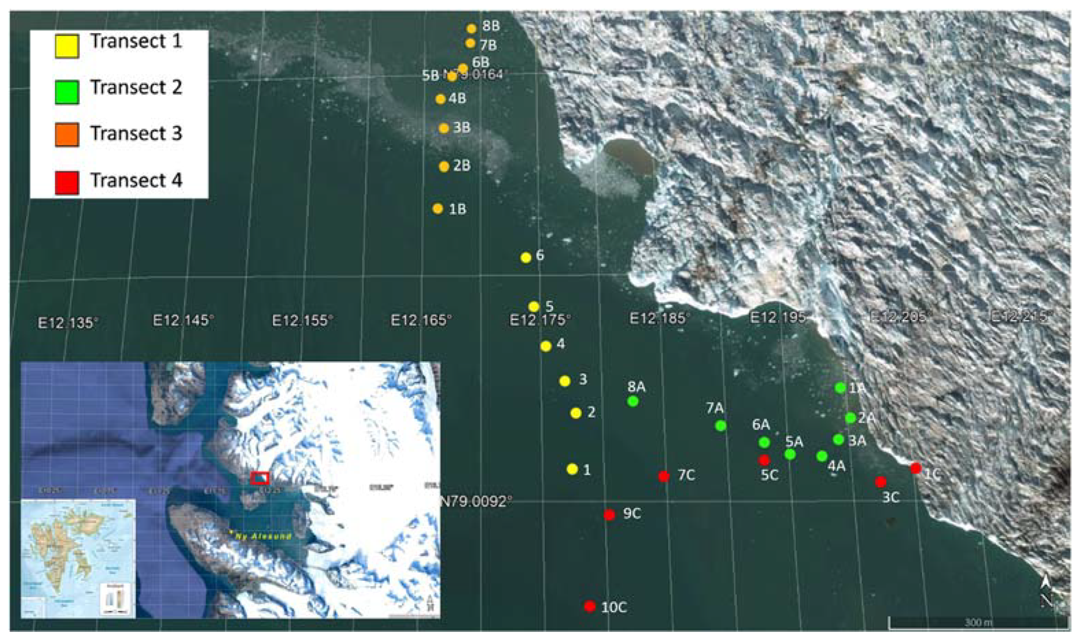 Water 15 00556 g001 Water 15 00556 g001