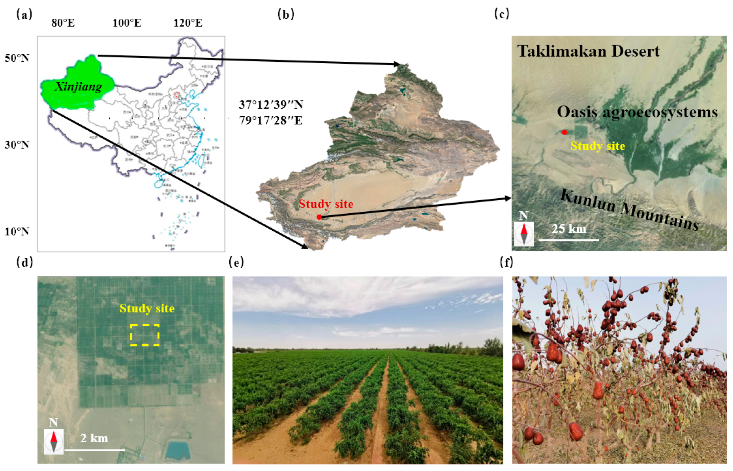 Water 15 00577 g001 Water 15 00577 g001