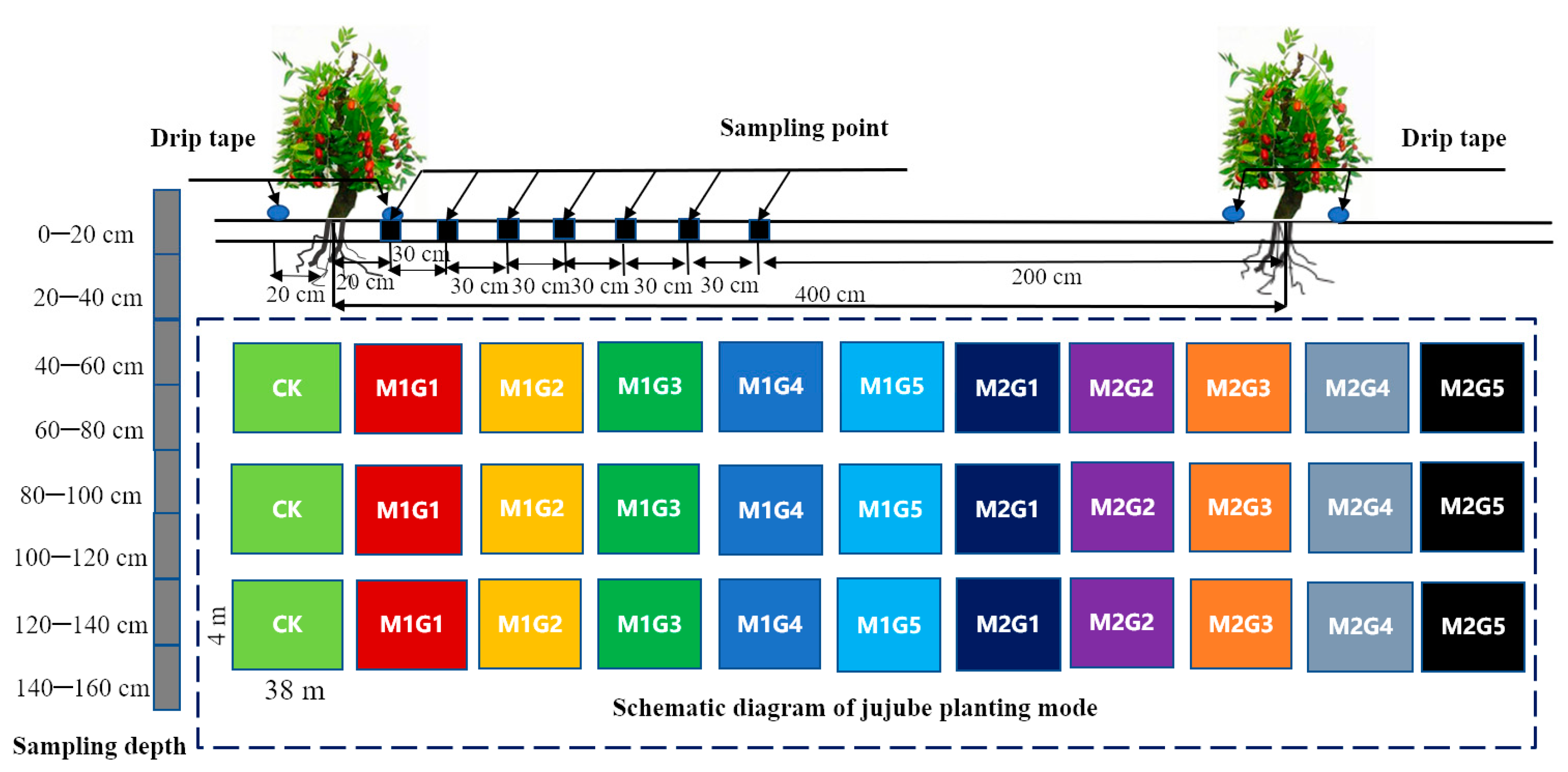 Water 15 00577 g004 Water 15 00577 g004