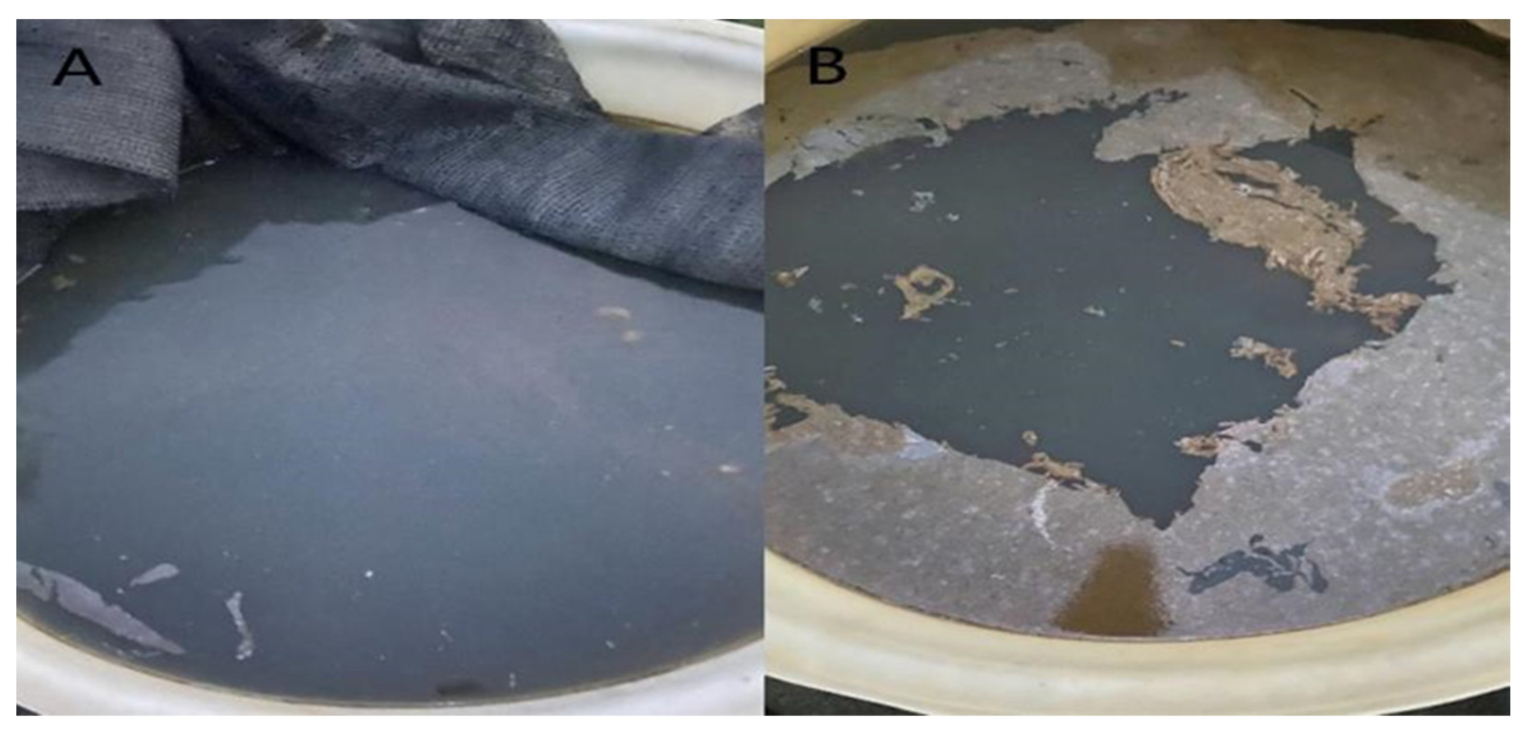 Water 15 00653 g001 Water 15 00653 g001