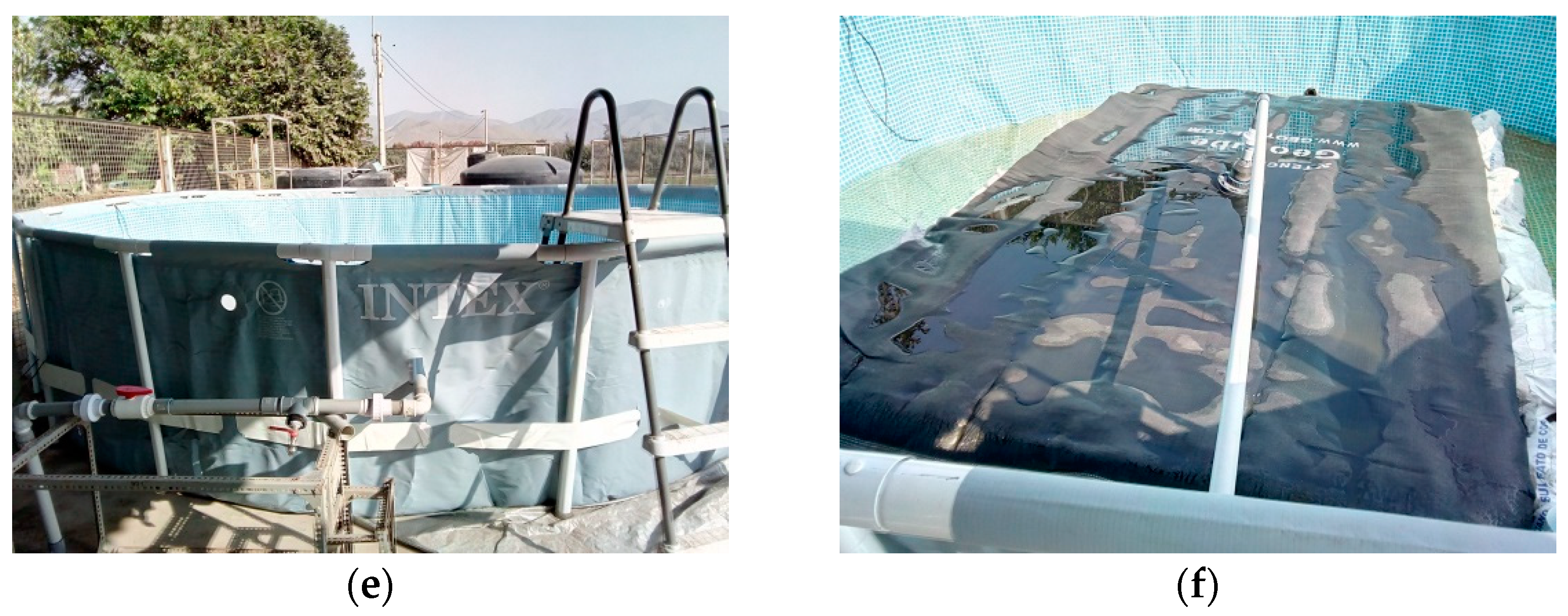 Water 15 00748 g003b