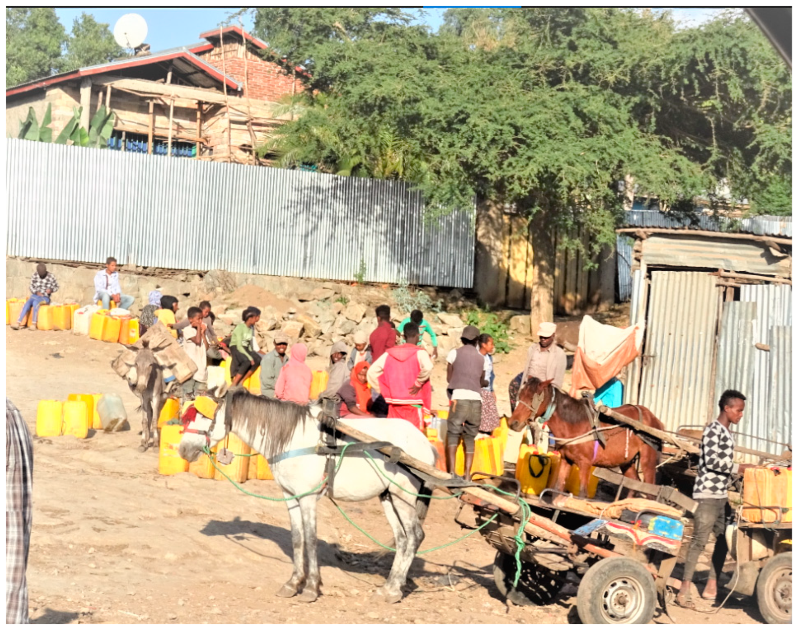 Water 15 00803 g004 Water 15 00803 g004