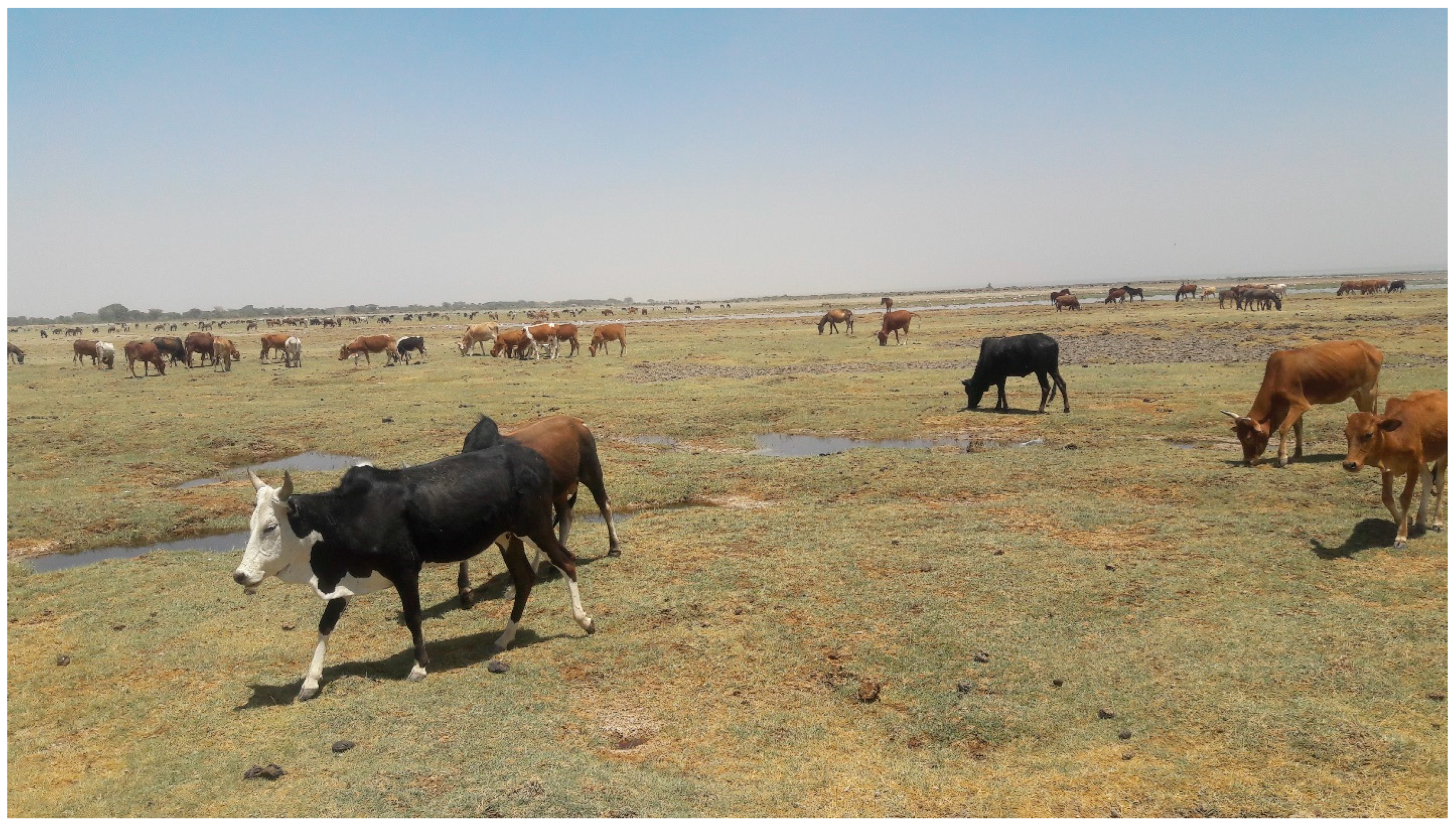 Water 15 00803 g005 Water 15 00803 g005