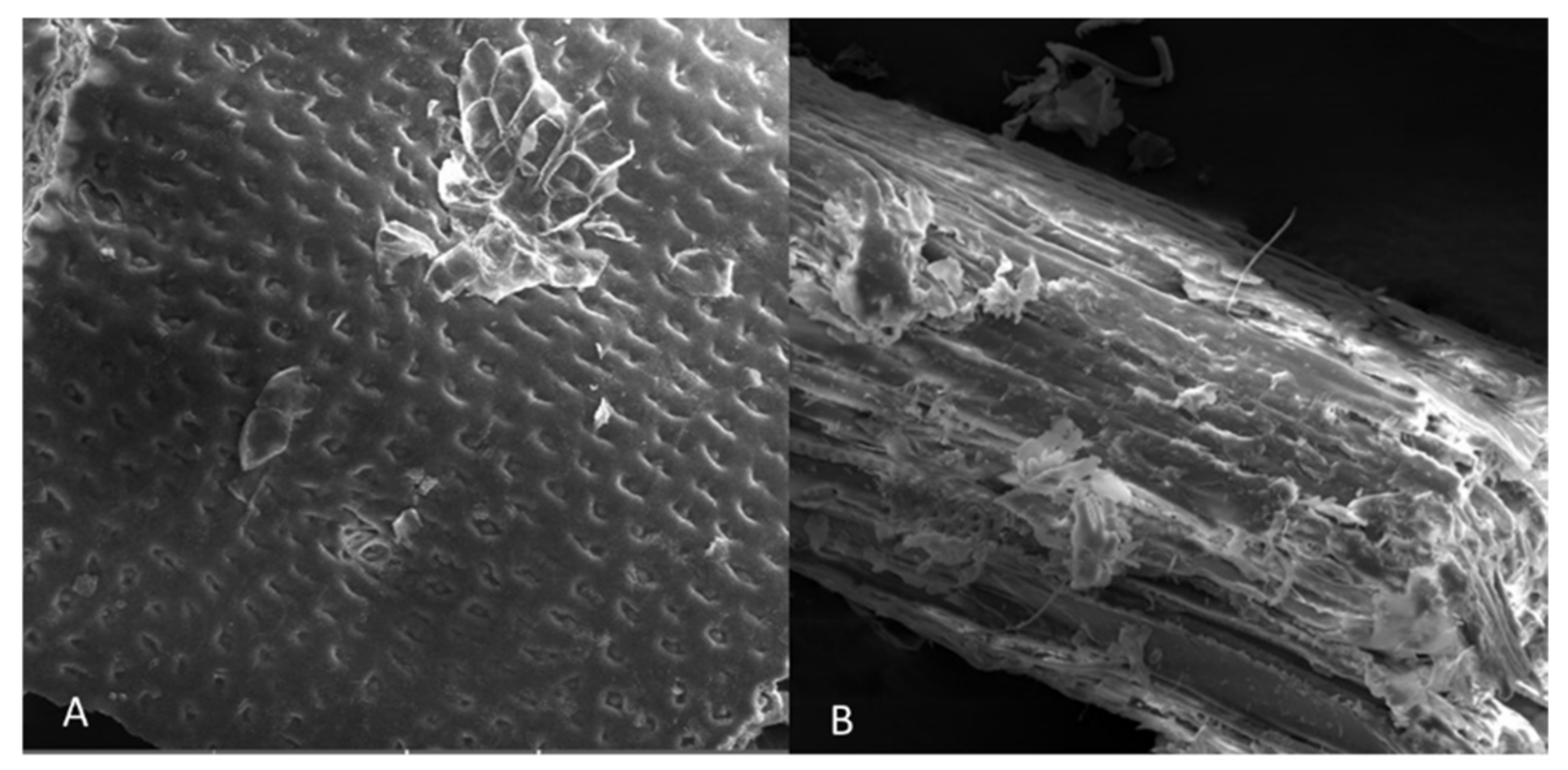 Water 15 00876 g006 Water 15 00876 g006