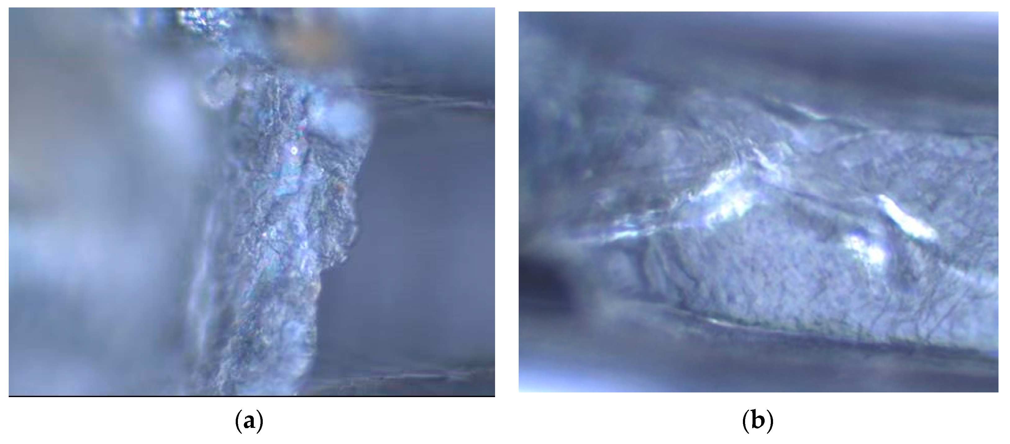 Water 15 00892 g010a Water 15 00892 g010a