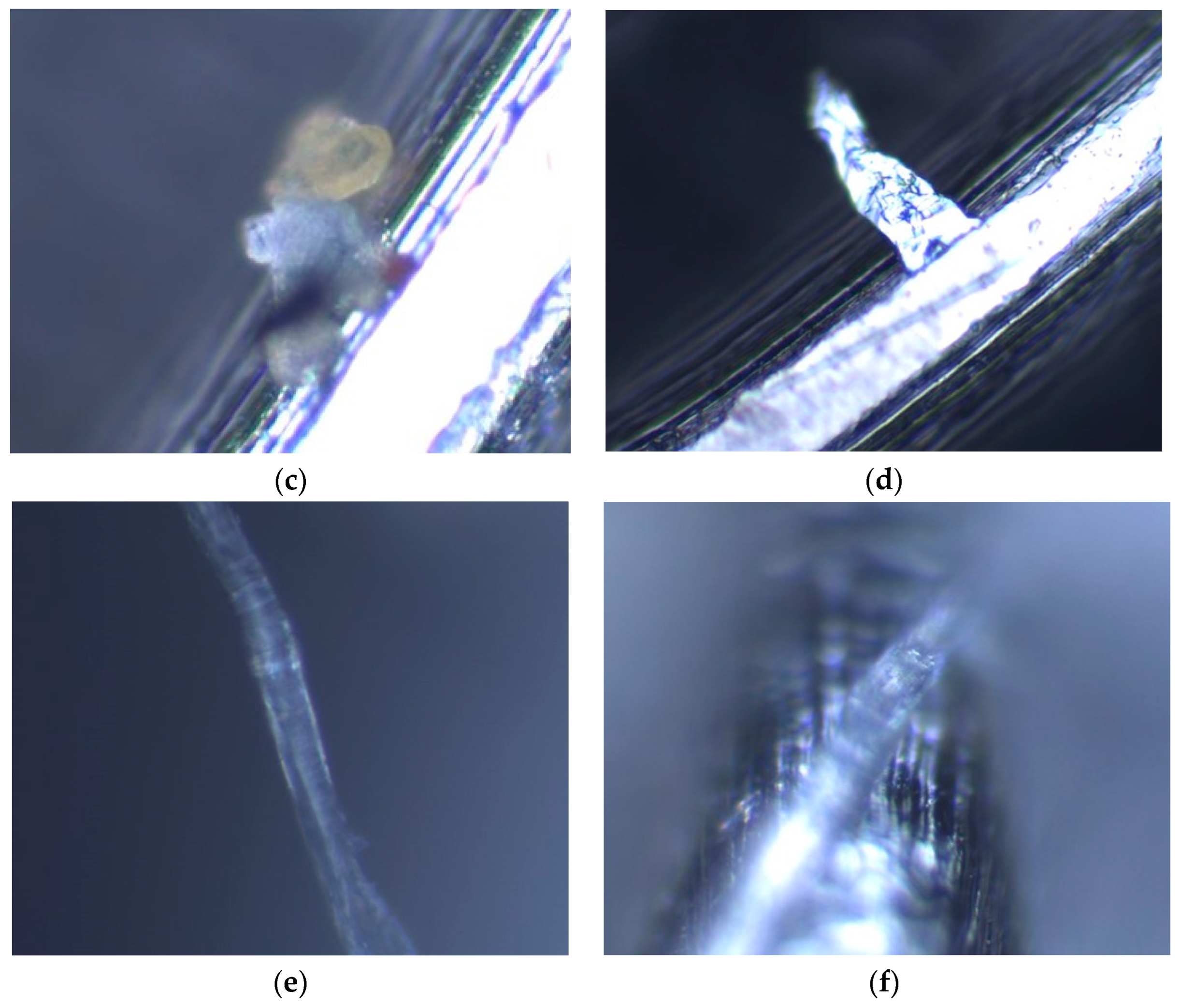 Water 15 00892 g010b Water 15 00892 g010b