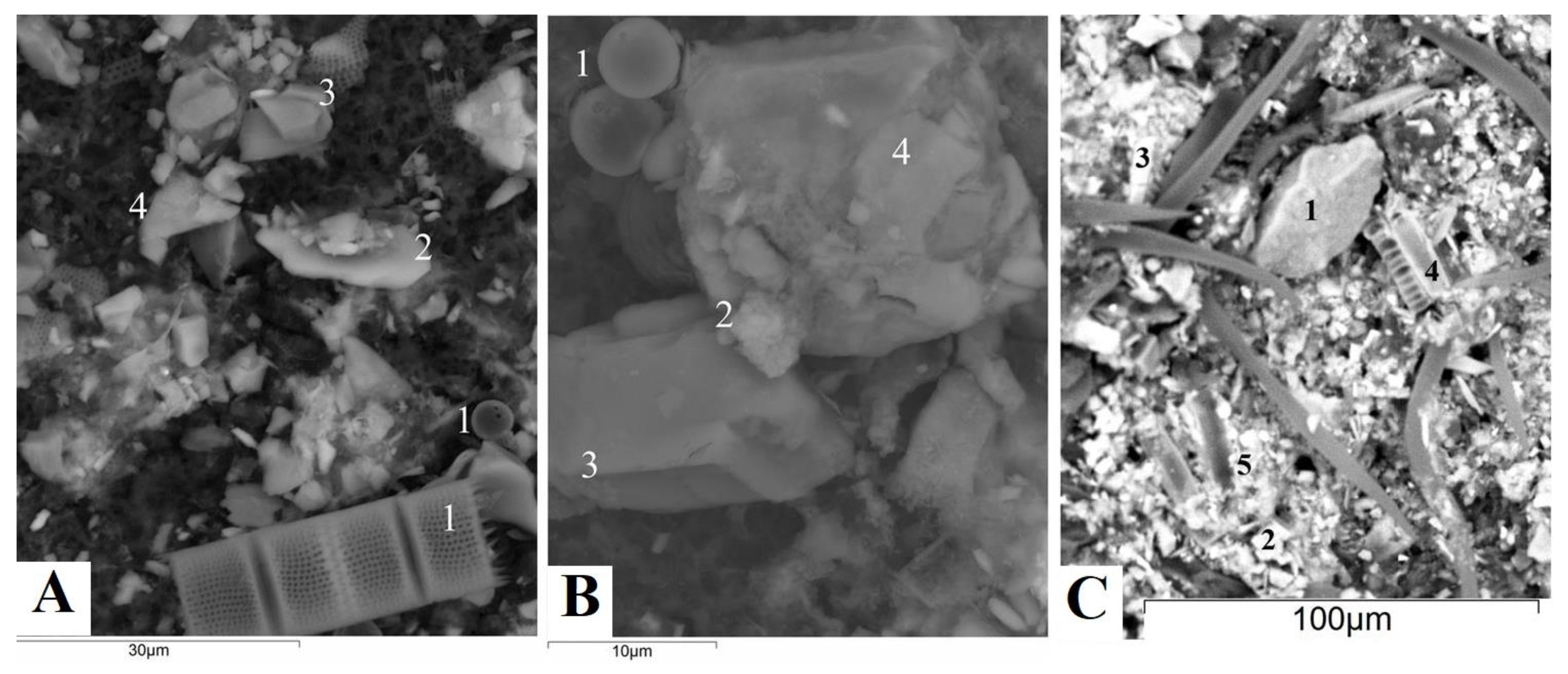 Water 15 00964 g005 Water 15 00964 g005