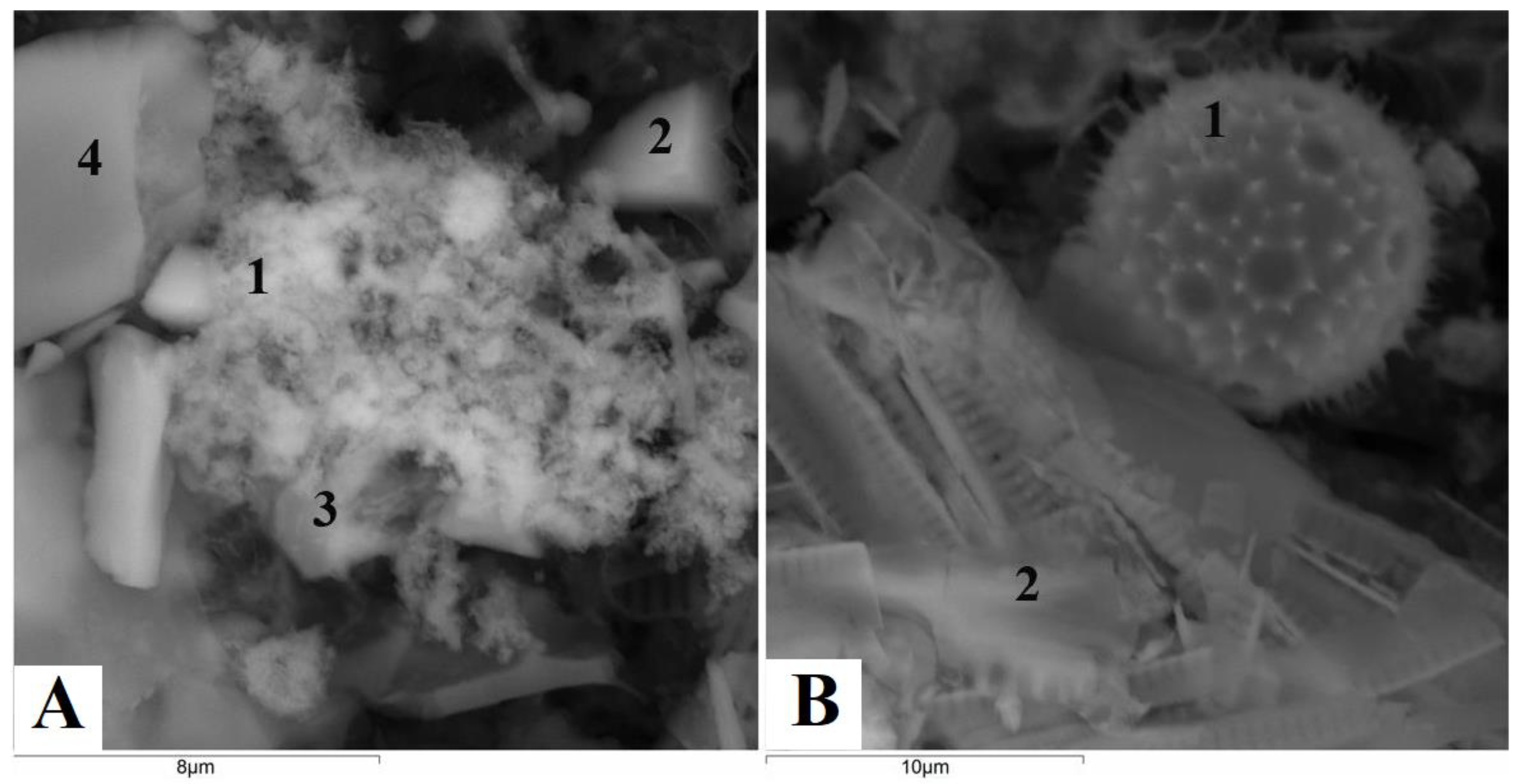 Water 15 00964 g007 Water 15 00964 g007