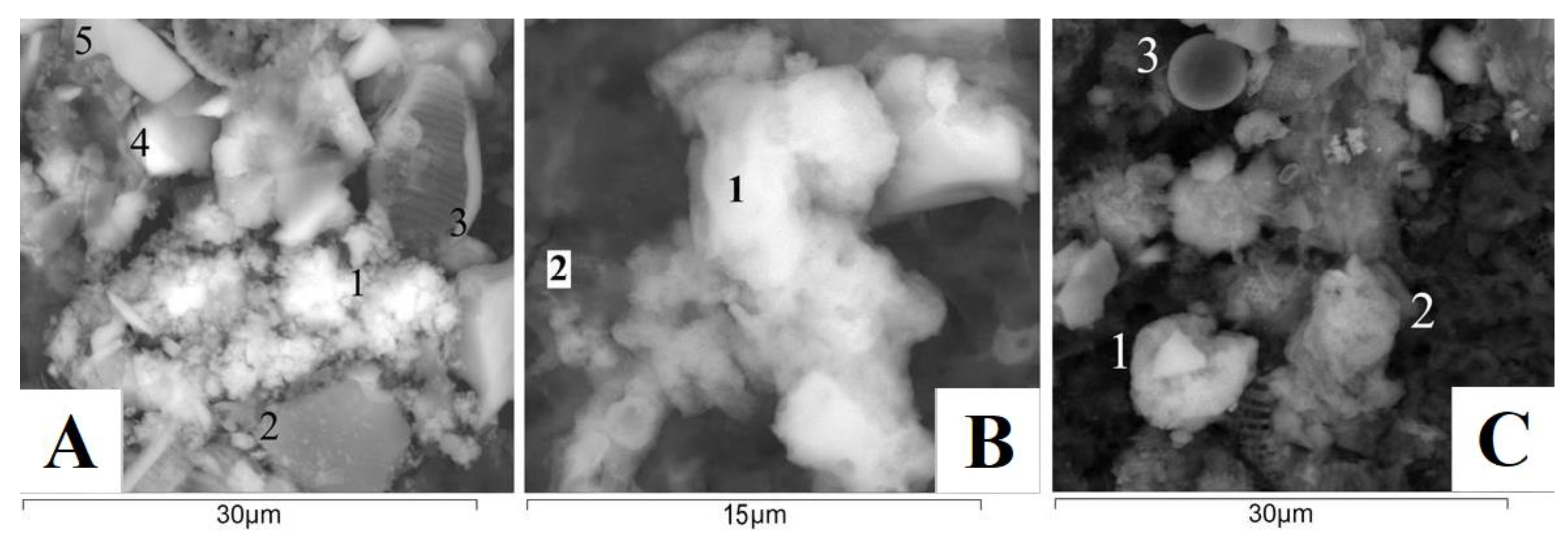 Water 15 00964 g009 Water 15 00964 g009