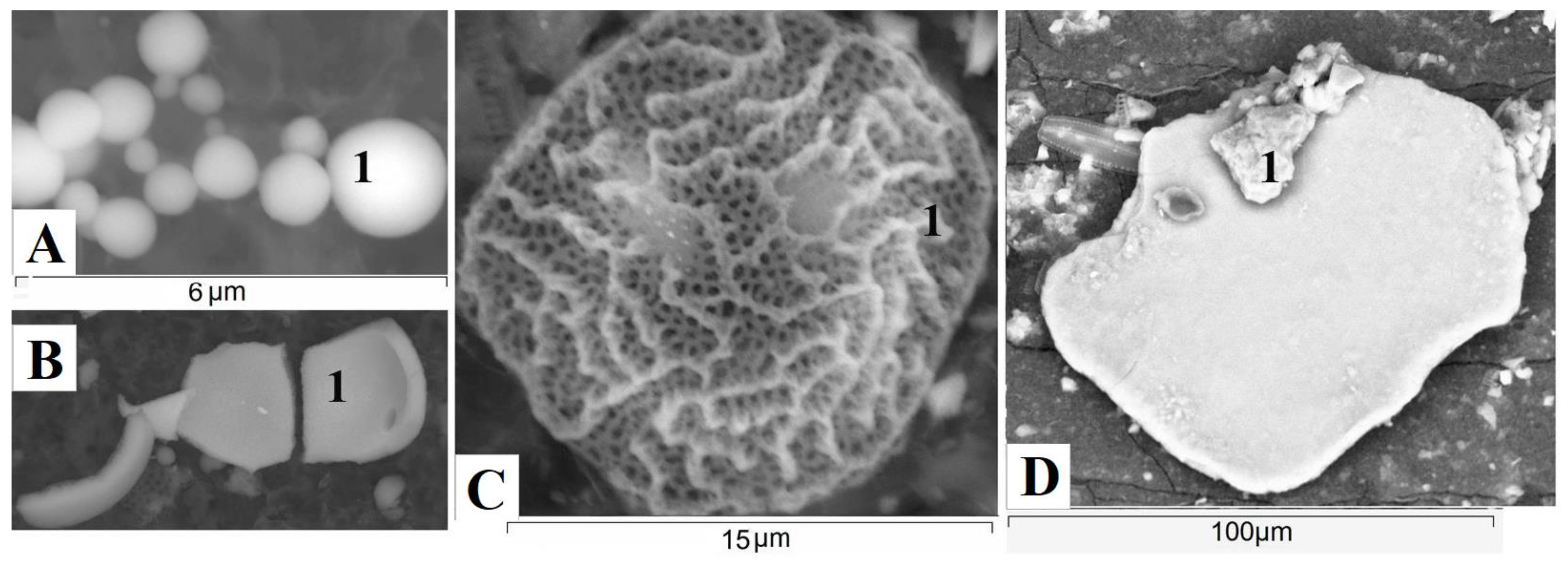 Water 15 00964 g010 Water 15 00964 g010