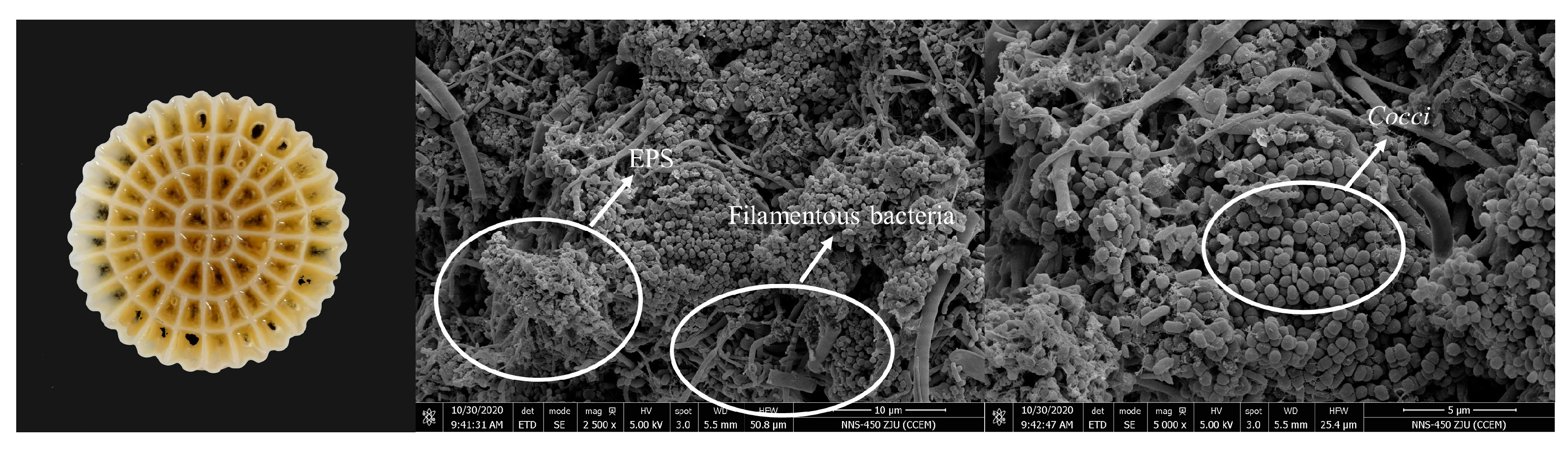 Water 15 00998 g002 Water 15 00998 g002