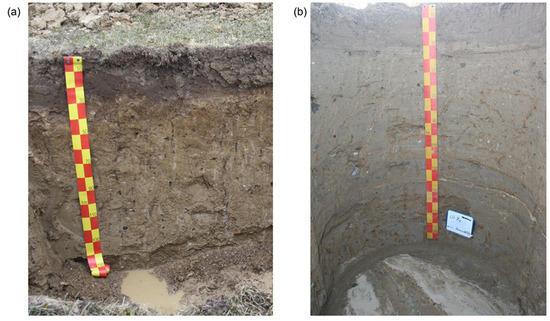 Water 15 01248 g0a3 Water 15 01248 g0a3