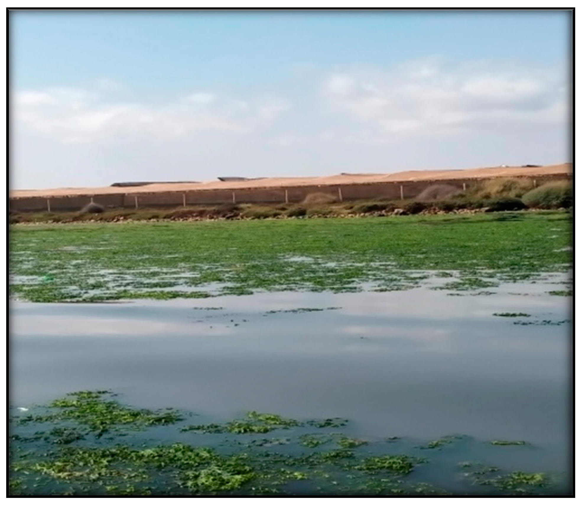 Water 15 01310 g002 Water 15 01310 g002