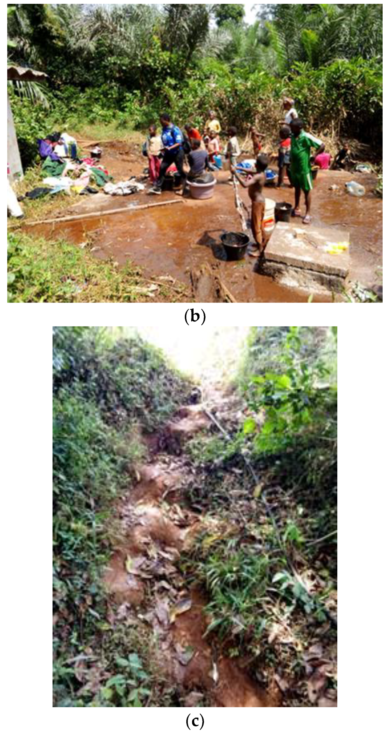 Water 15 01467 g005b