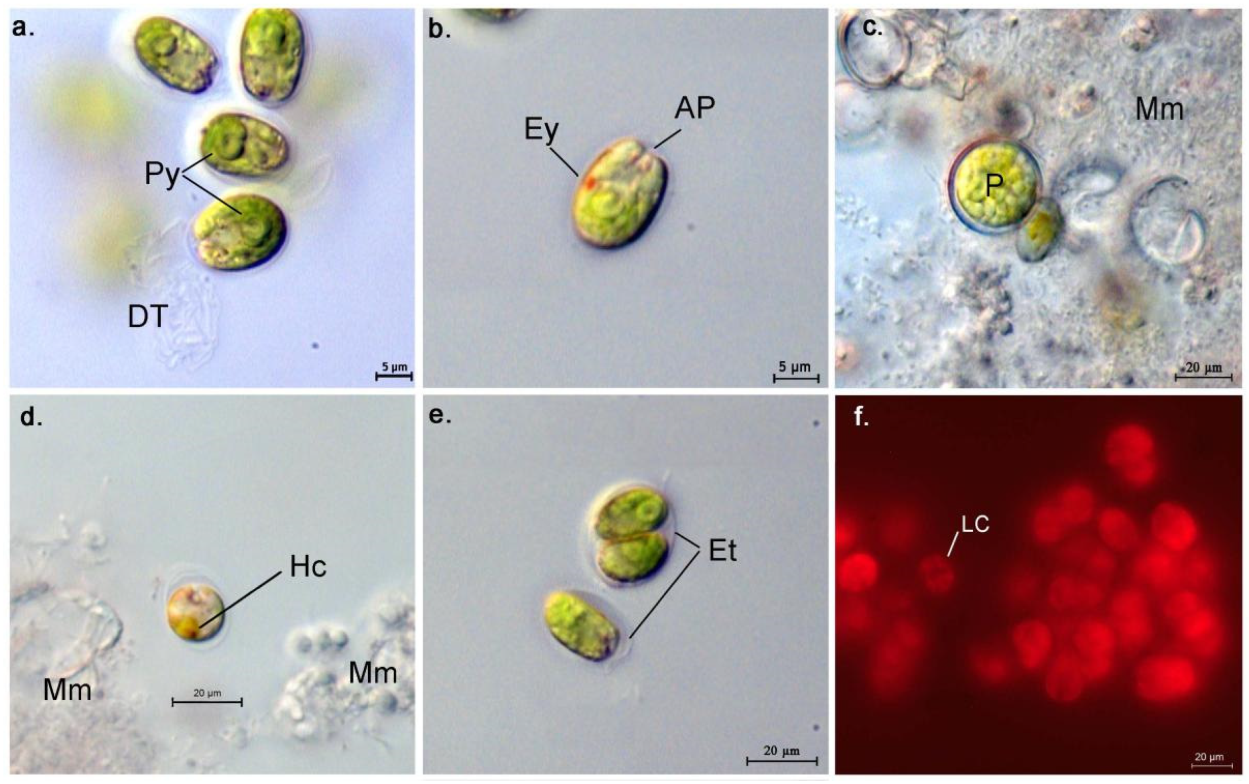 Water 15 01698 g002 Water 15 01698 g002