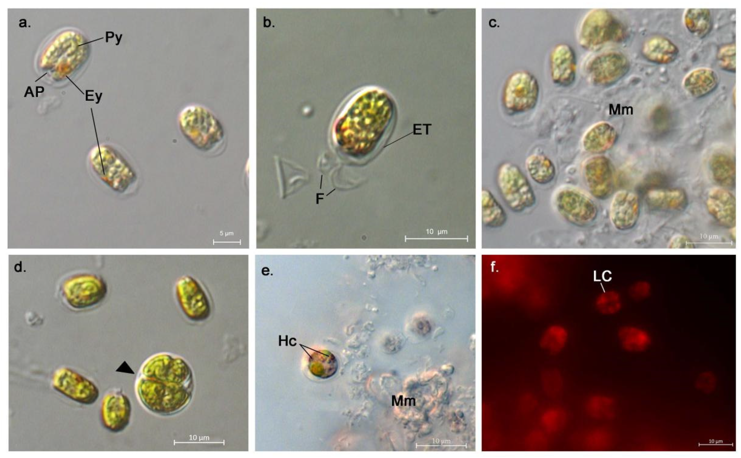 Water 15 01698 g004 Water 15 01698 g004