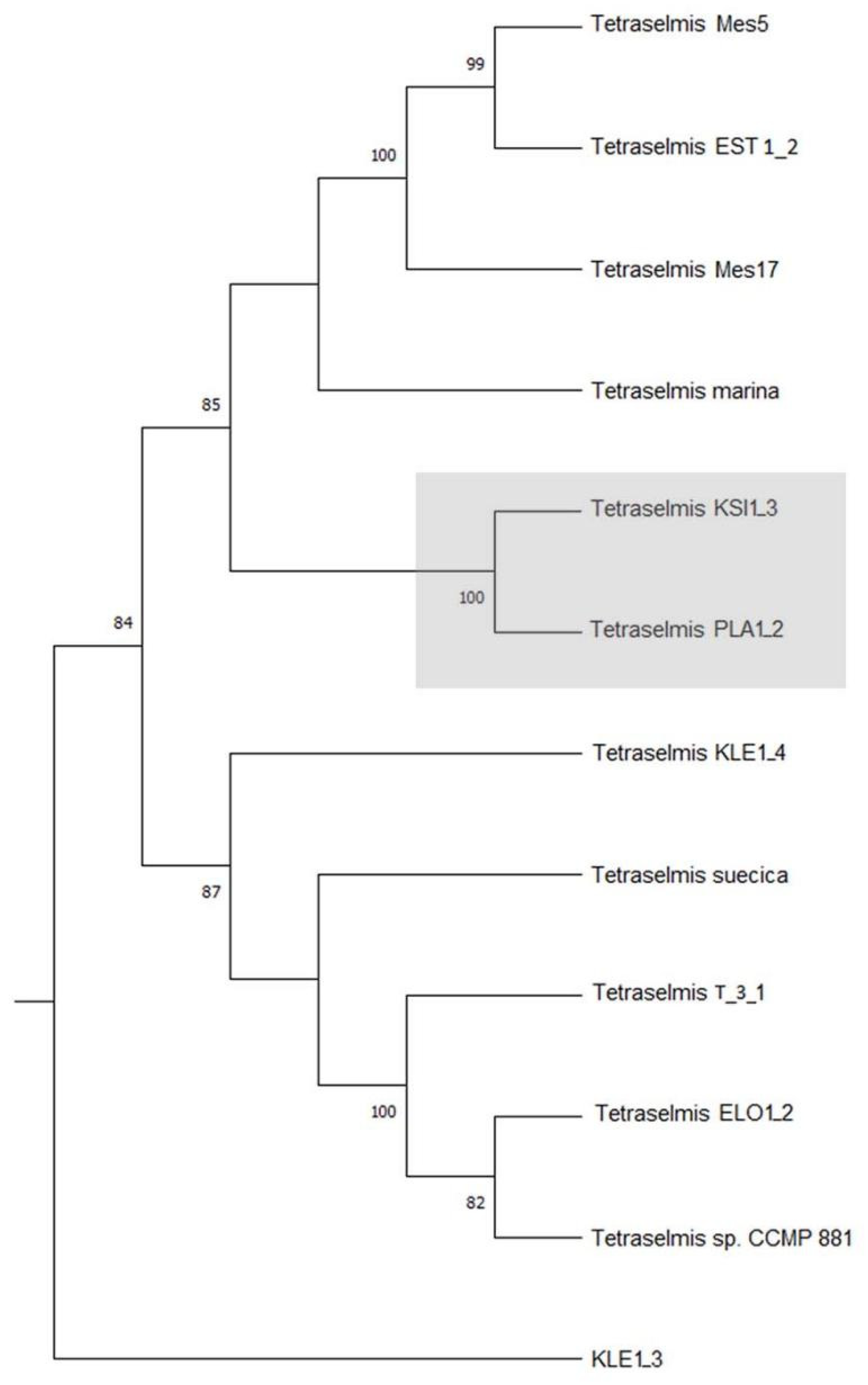 Water 15 01698 g007 Water 15 01698 g007